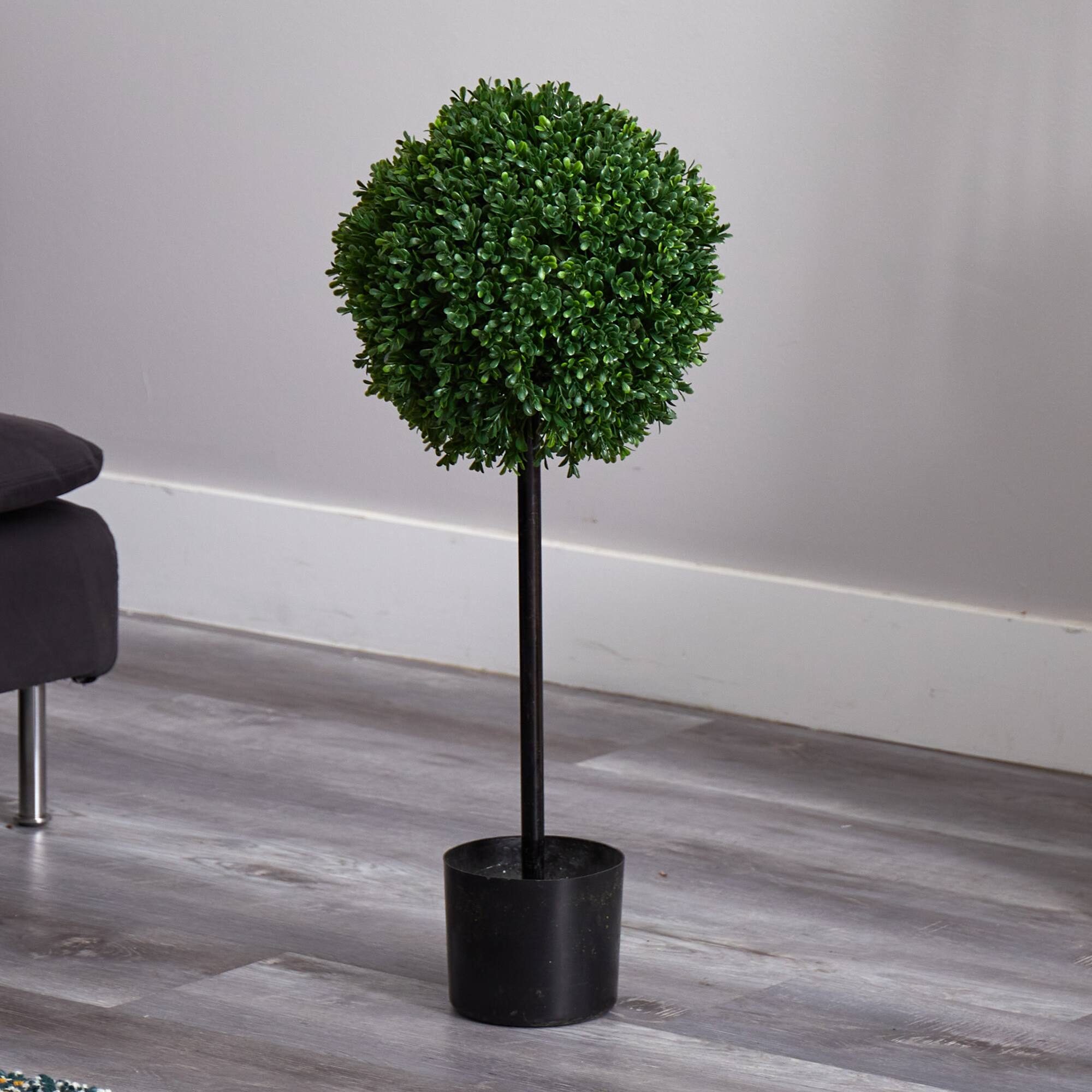 2.5ft. Potted Boxwood Ball Topiary Tree