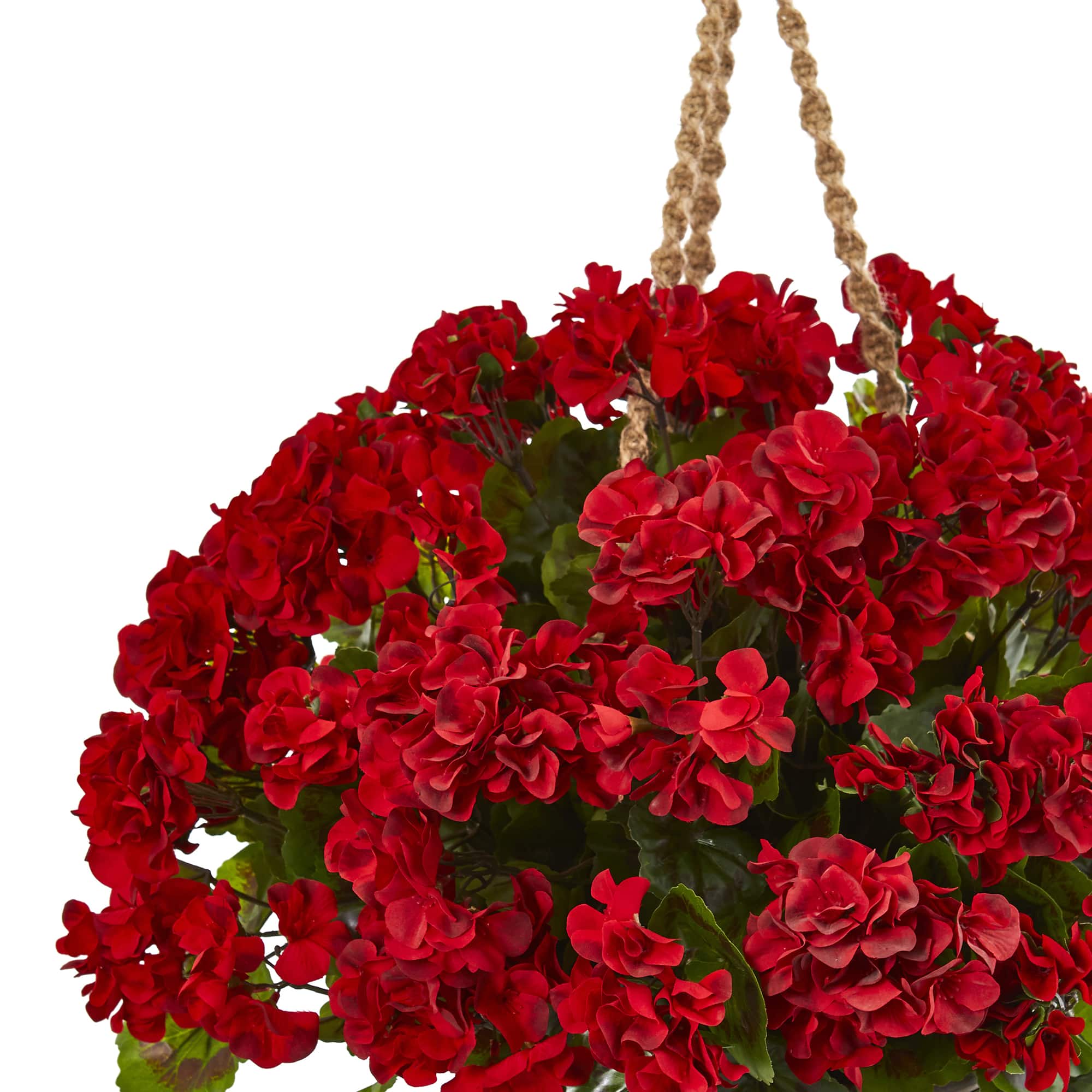 19" Geranium in Hanging Basket