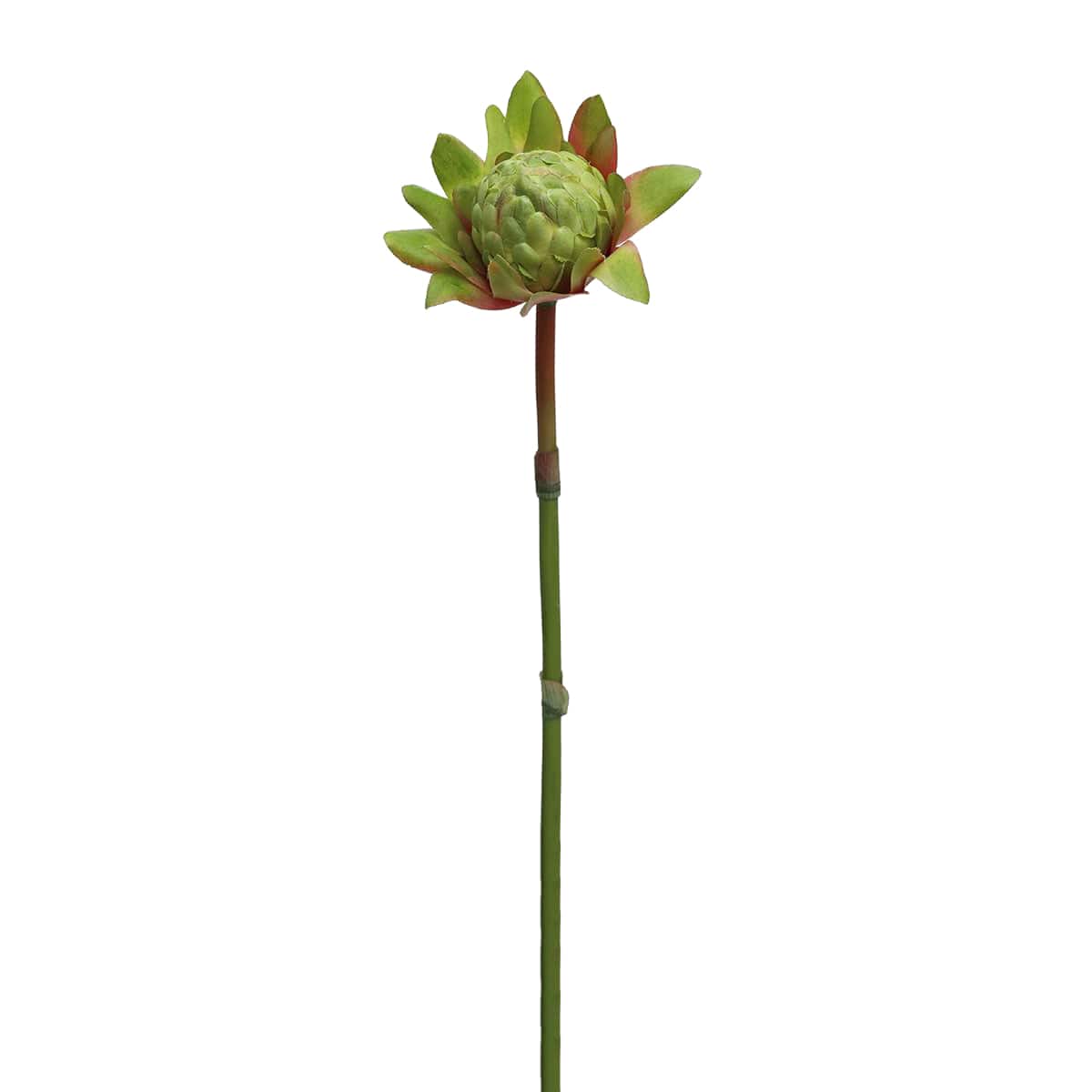 Prestige Botanicals 16.5" Waratah Protea Faux Floral Stem