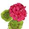 18.5" Geranium Bush by Ashland®