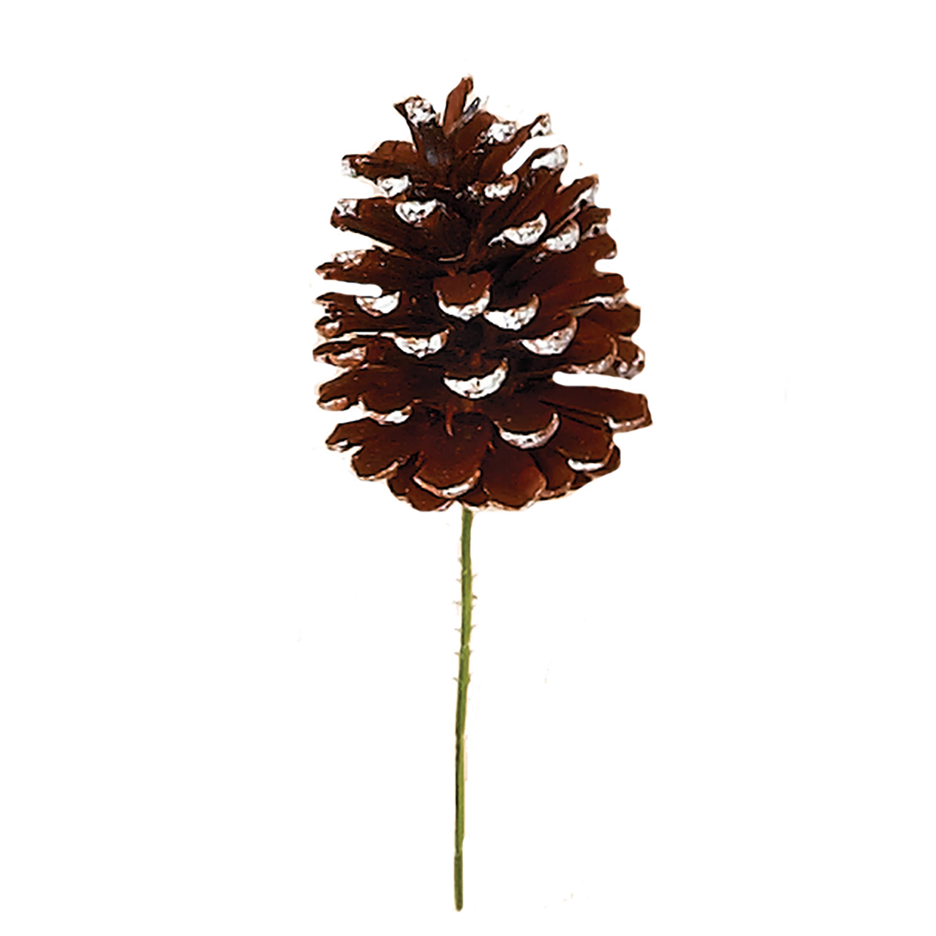 10" White Tip Pinecone Pick, 72ct.