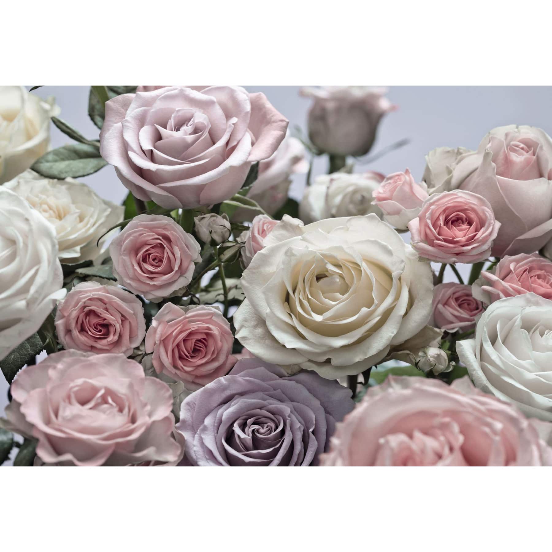 Komar Floraison Wall Mural