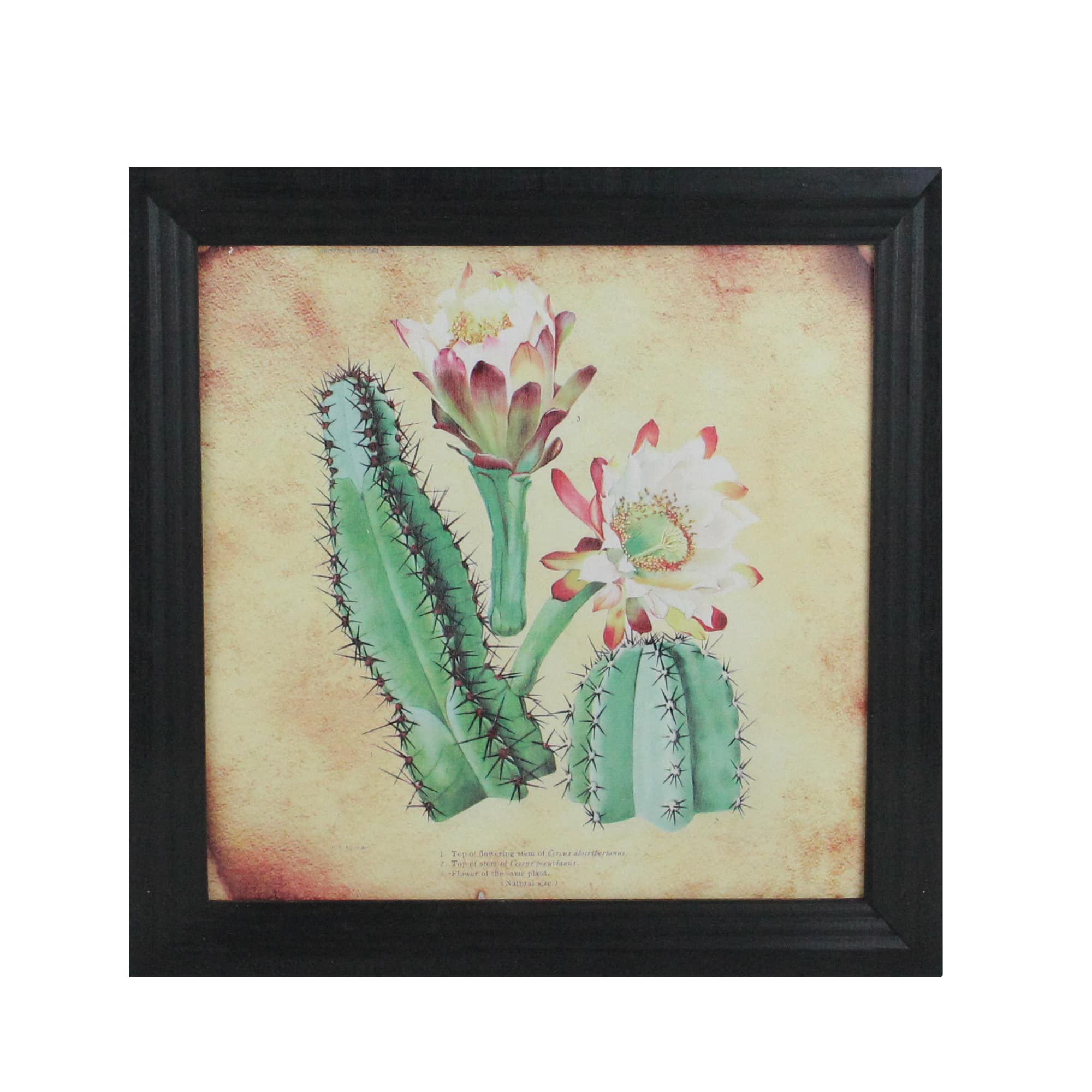 12" Green Cactus & Desert Plants Framed Wall Art