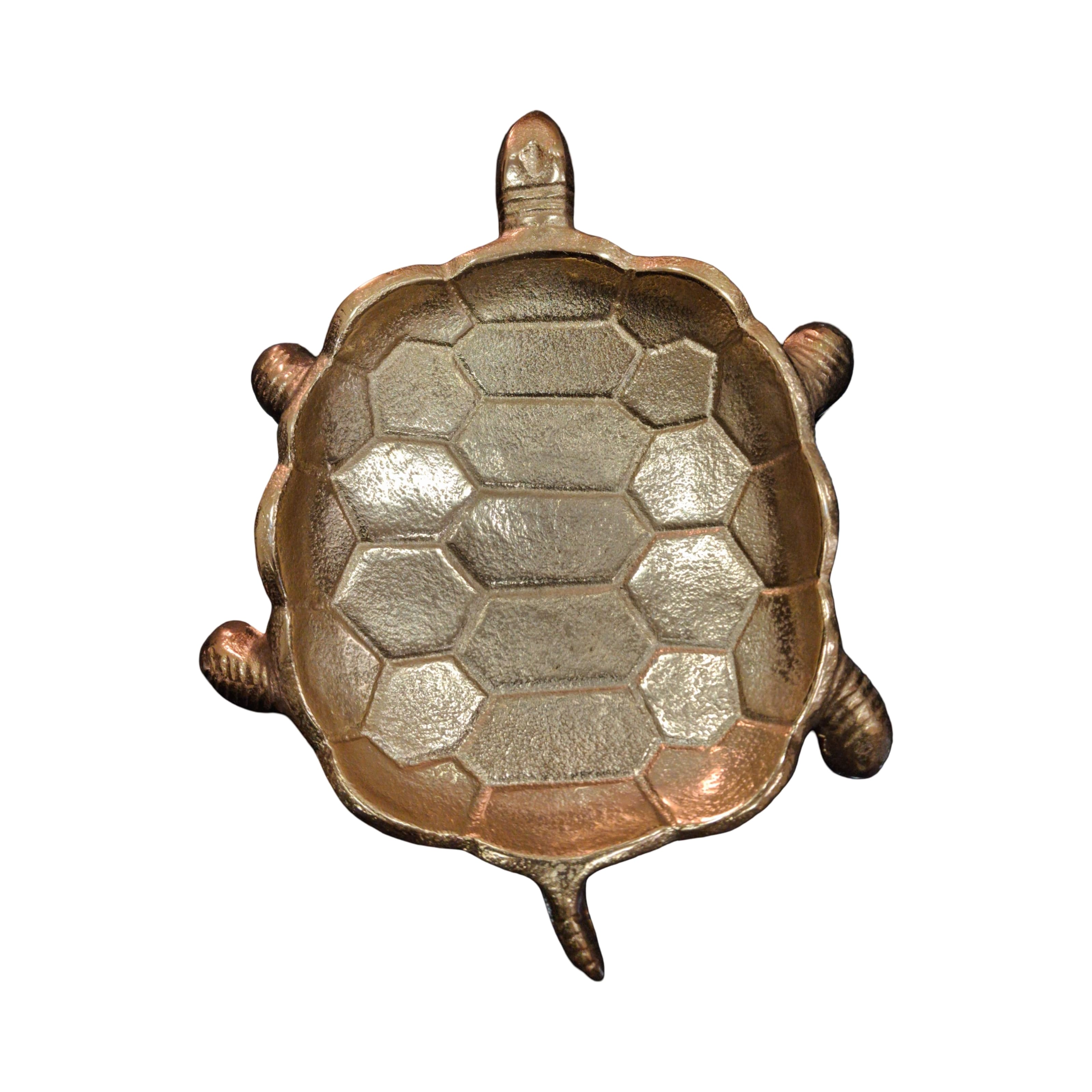 Turtle Decorative Bowl by Ashland