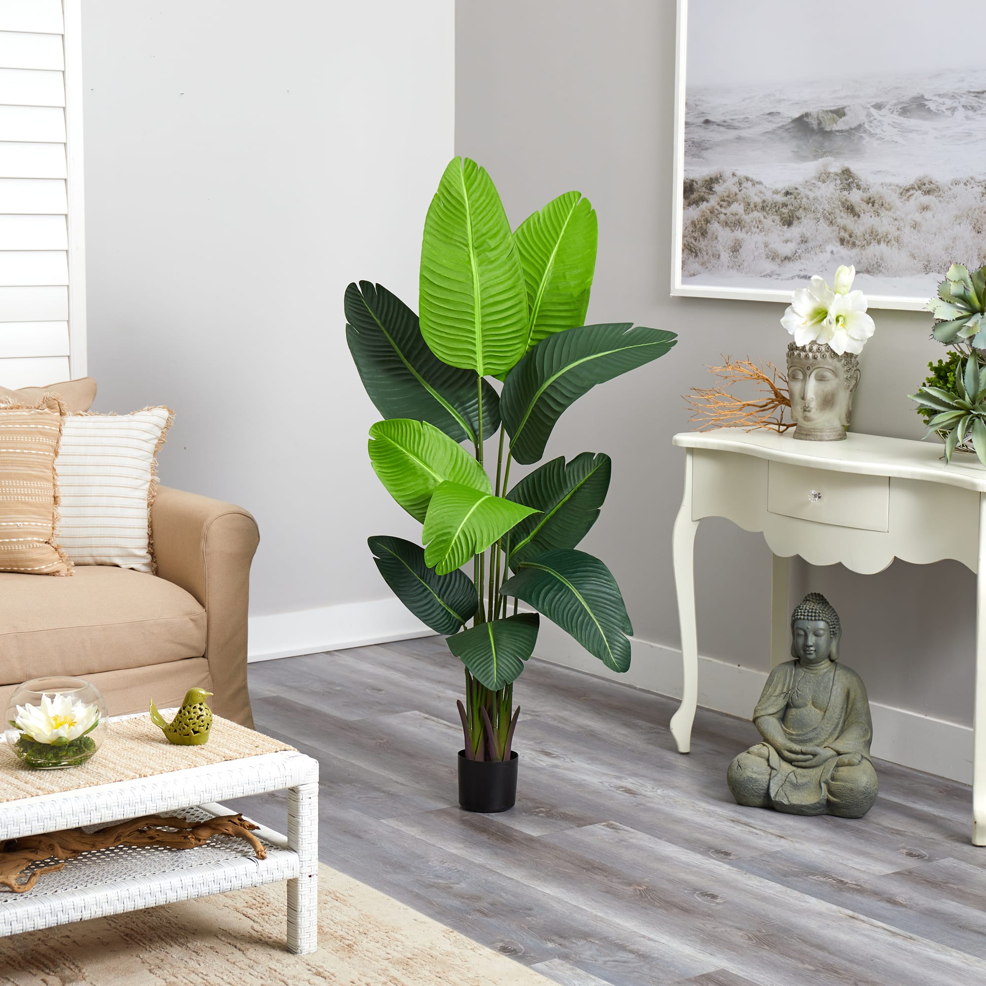 5ft. Potted Travelers Palm Tree