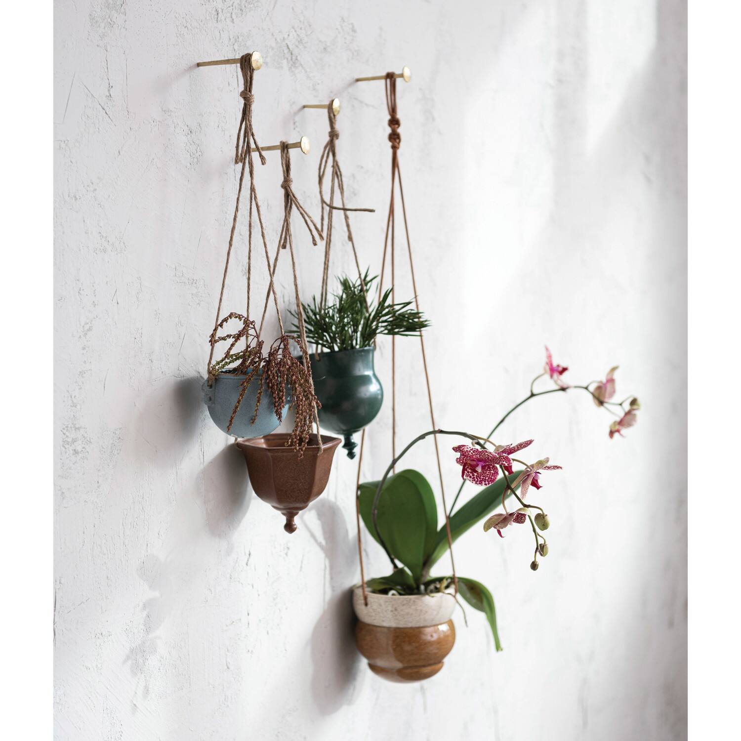 Hello Honey® Hanging Pot with Rope Set