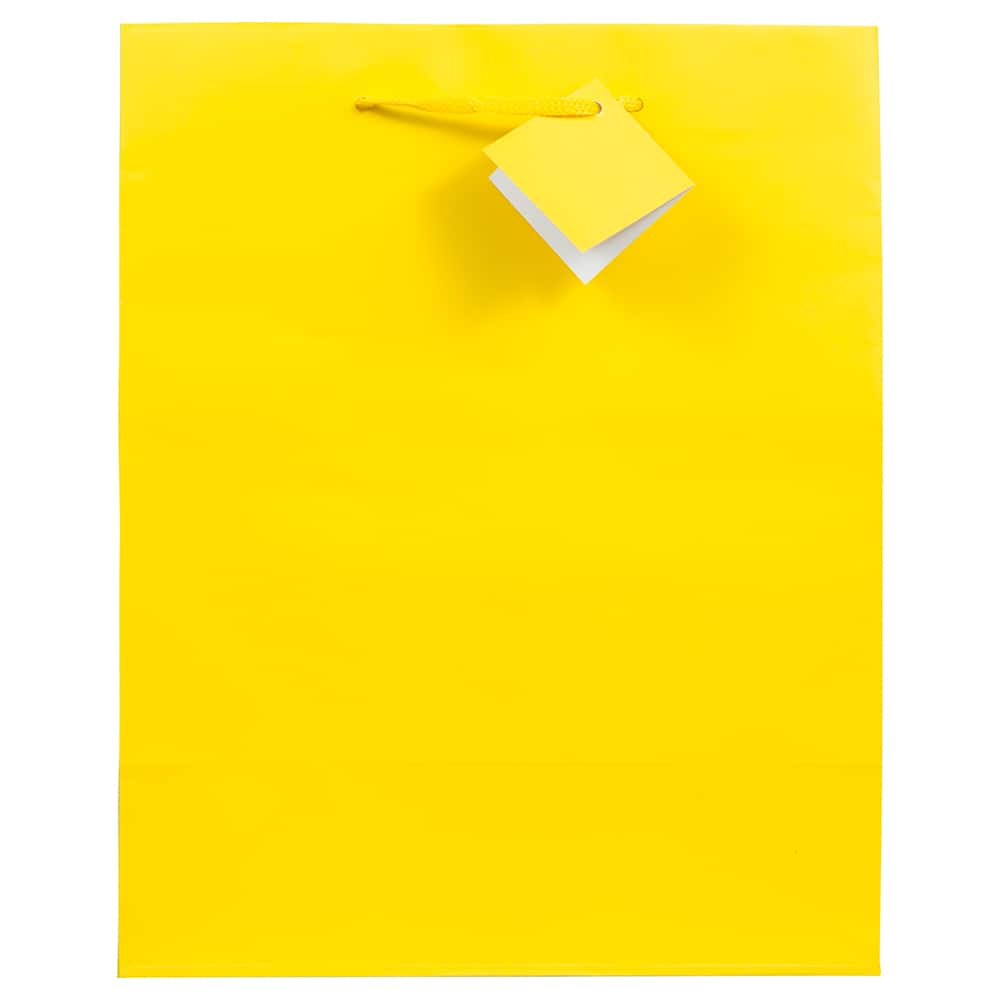JAM Paper Medium Gift Bags with Rope Handles, 3ct.