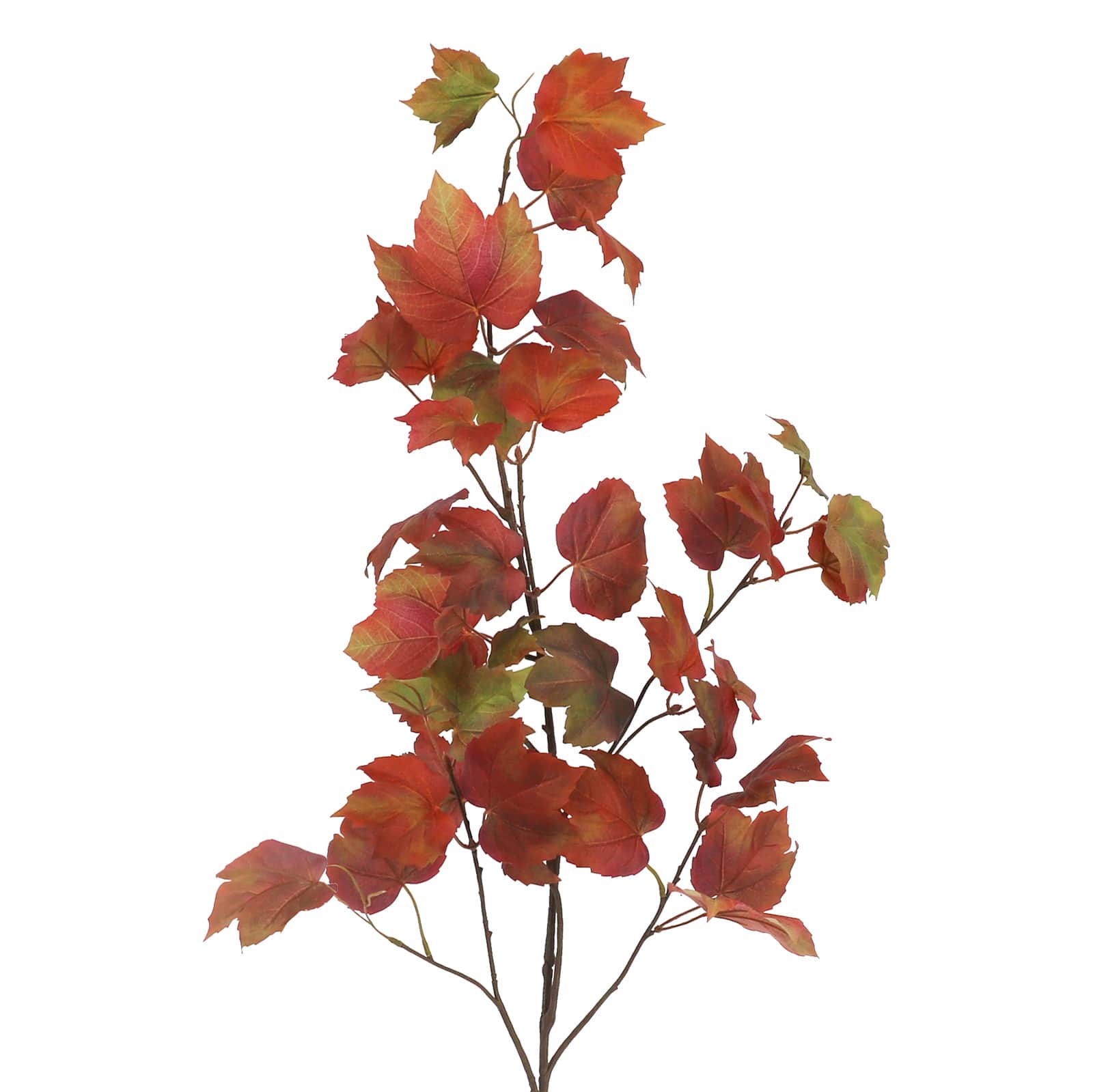 28" Red & Green Maple Stem by Ashland®