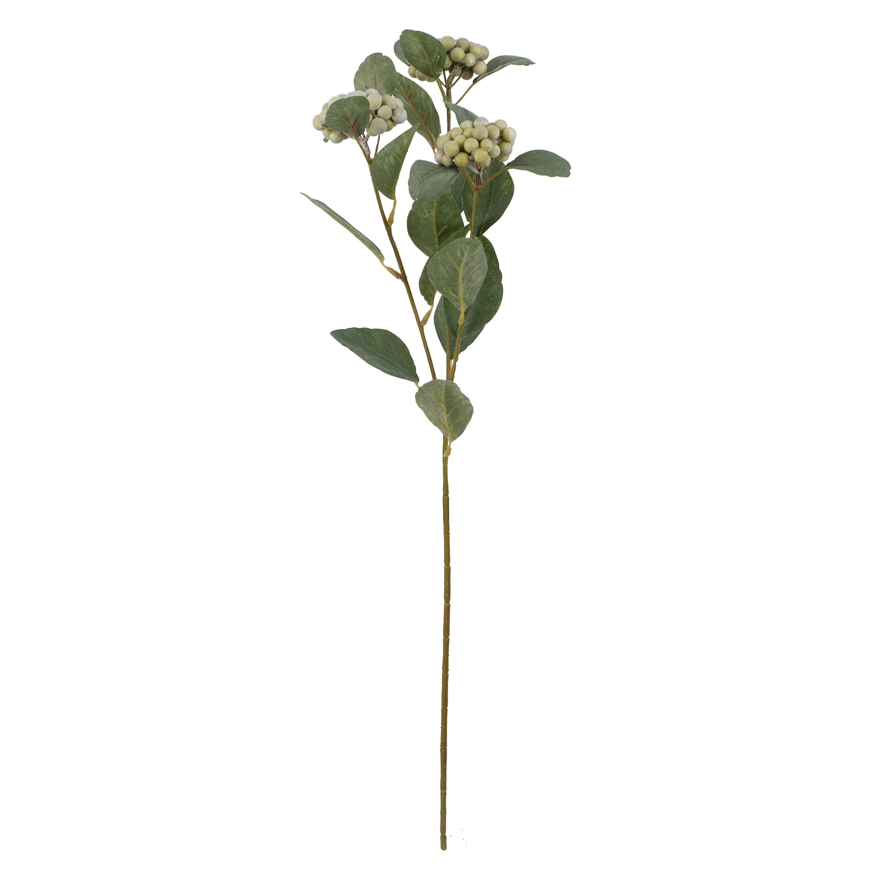 12 Pack: 28" Sage Green Berry Stem by Ashland®
