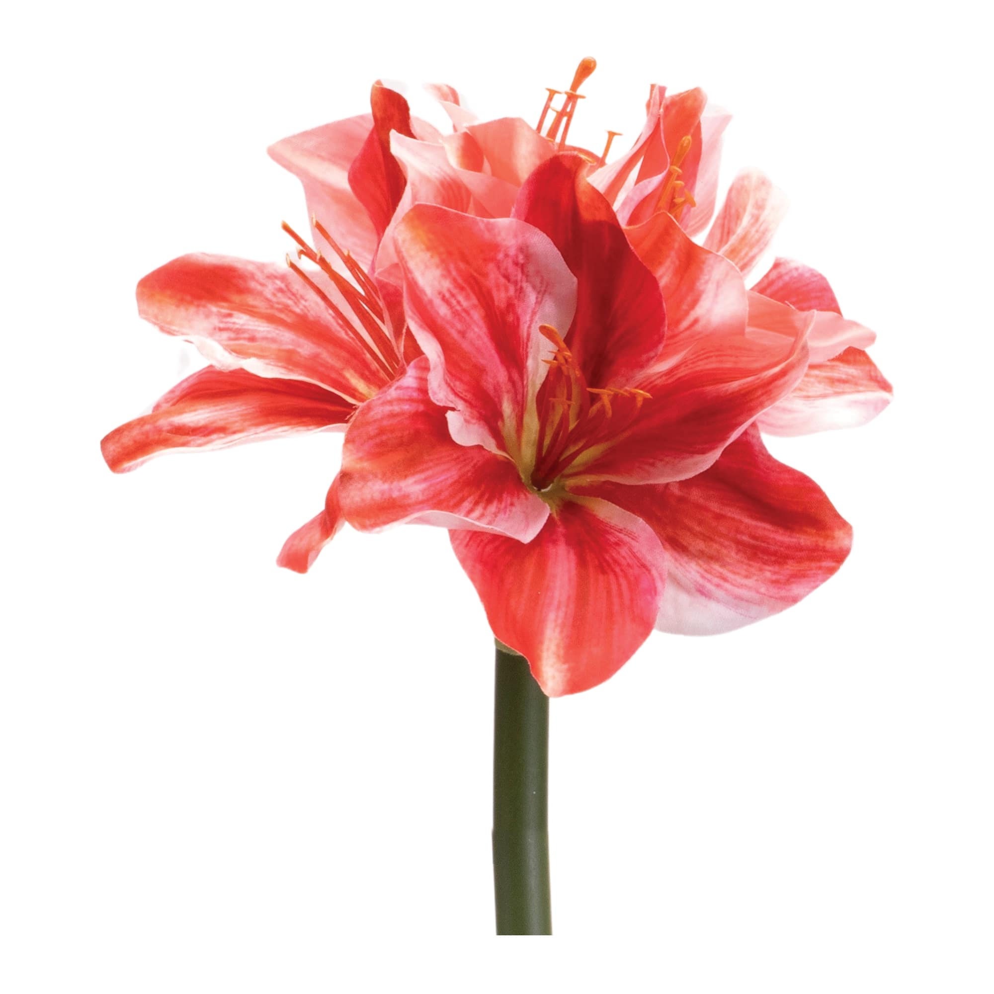 16.75" Red & Pink Amaryllis Flower Stem Set