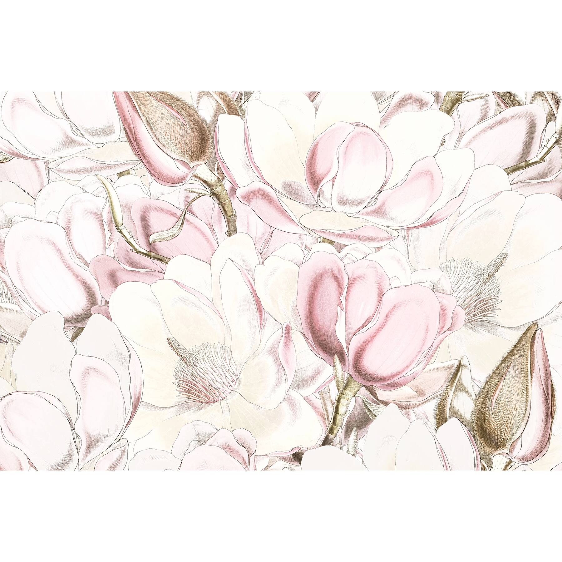 Komar Petals Wall Mural