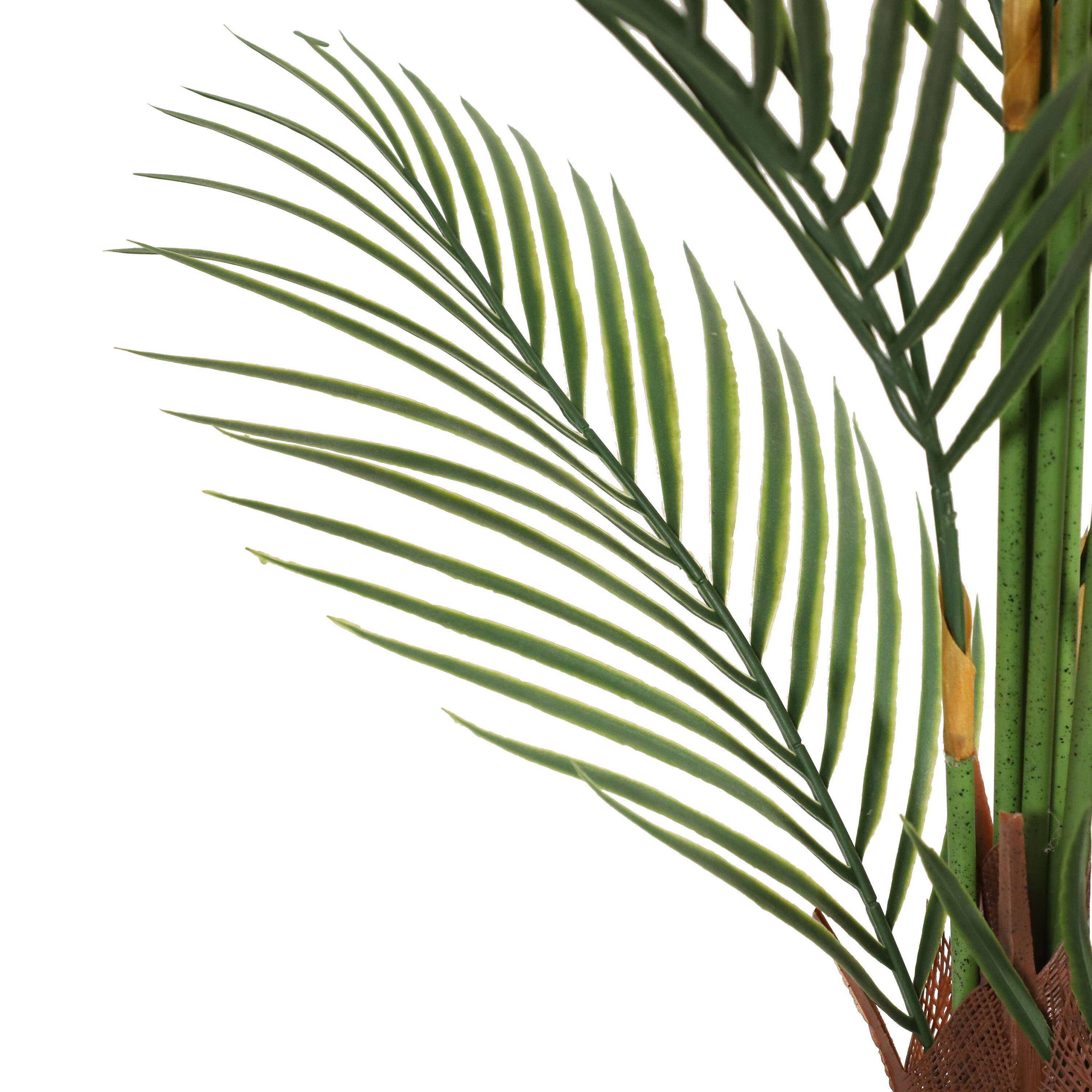 6 Pack: 4ft. Potted Areca Palm Tree