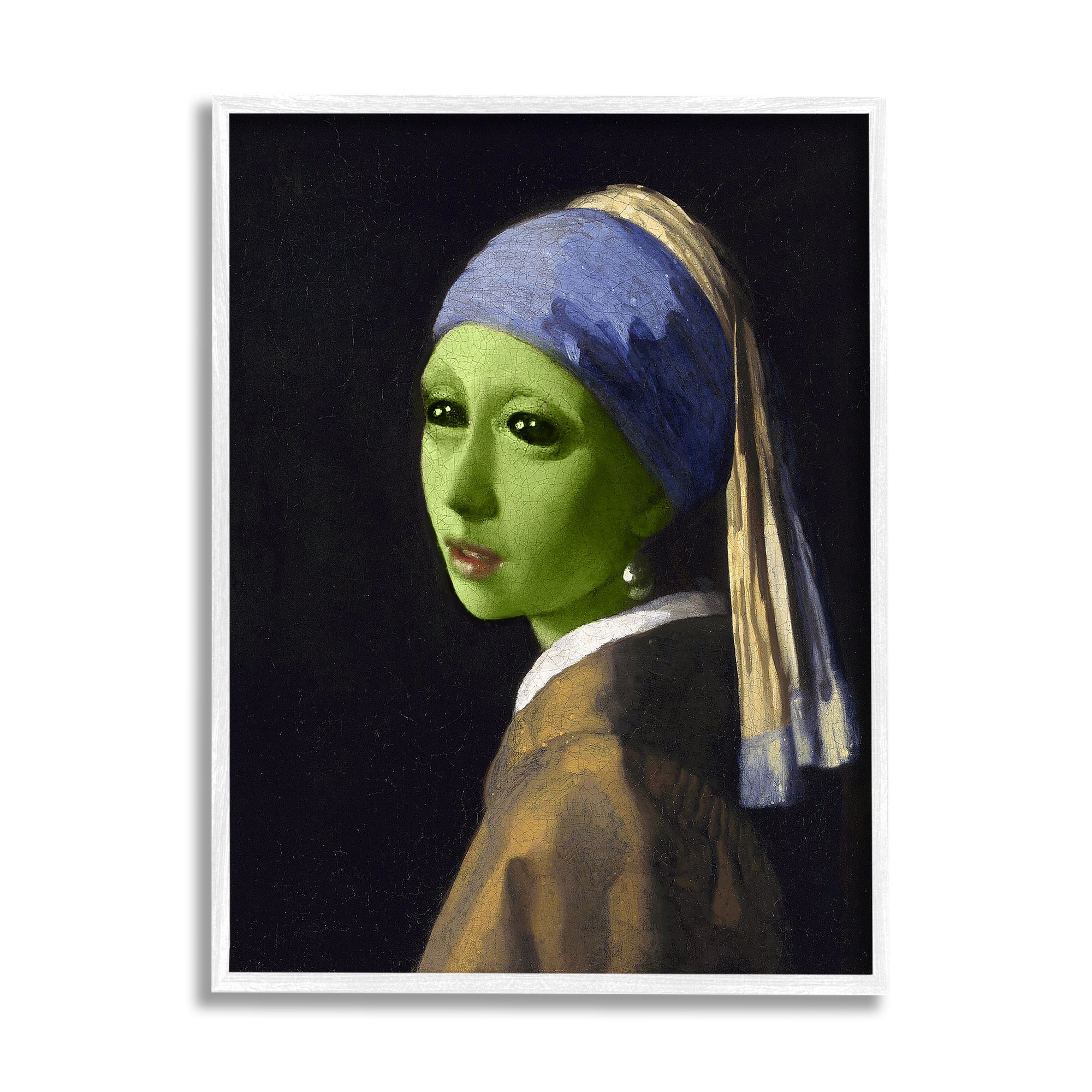 Stupell Industries Girl with Pearl Earring Alien Framed Giclee Art