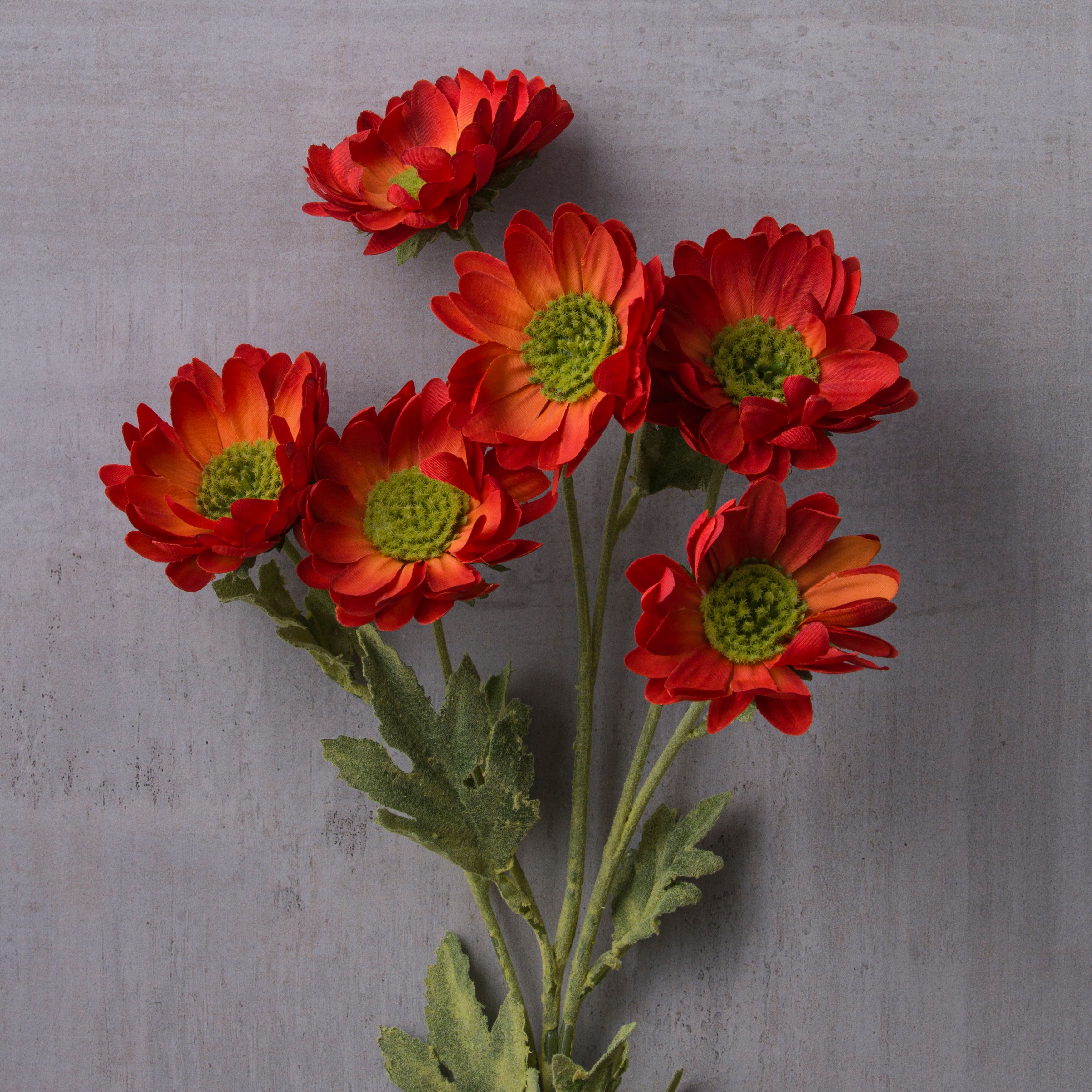 12 Pack: Rust Daisy Mum Spray by Ashland®