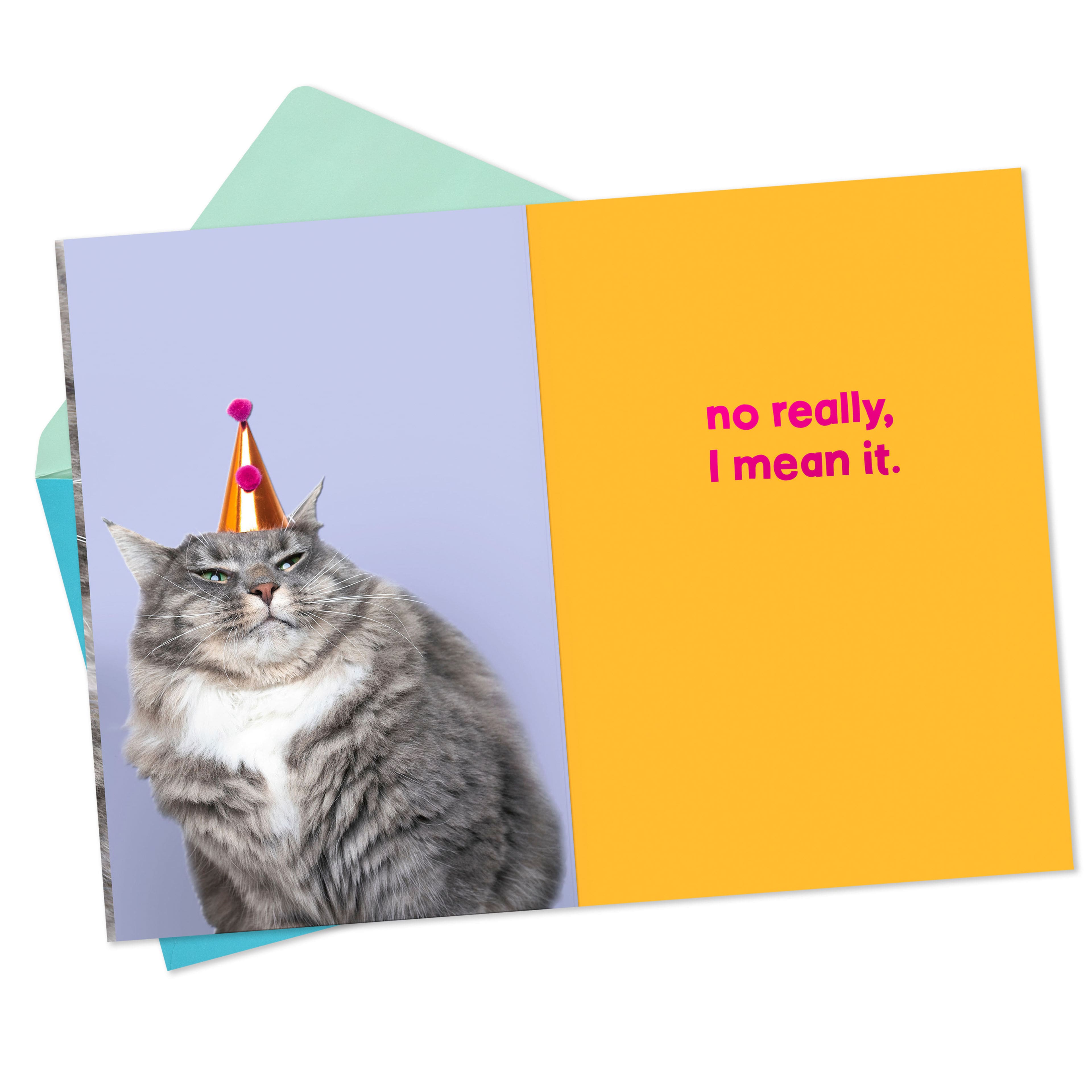 Hallmark Grouchy Cat Funny Birthday Card