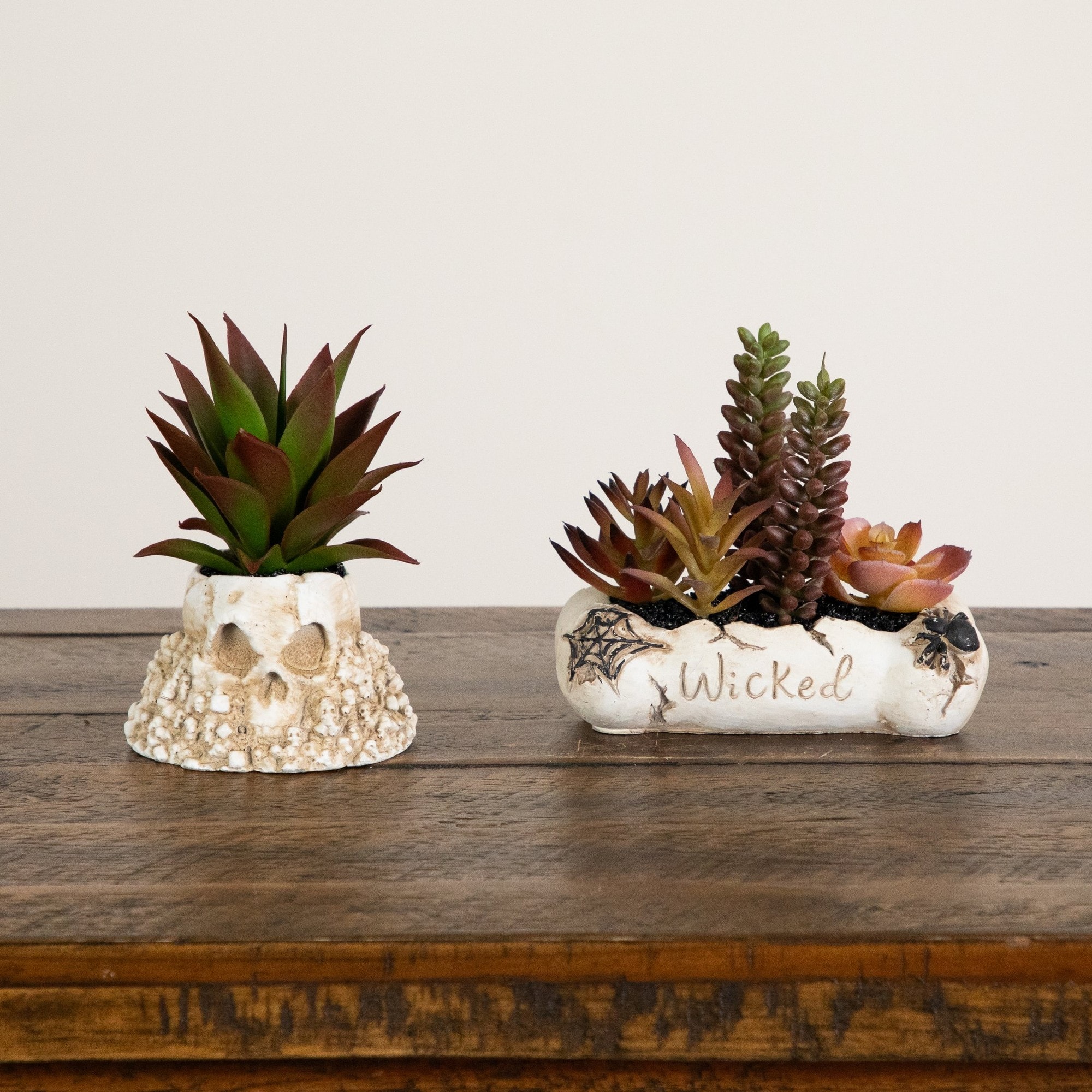 5" Artificial Halloween Succulent Garden in Haunted Planters Set