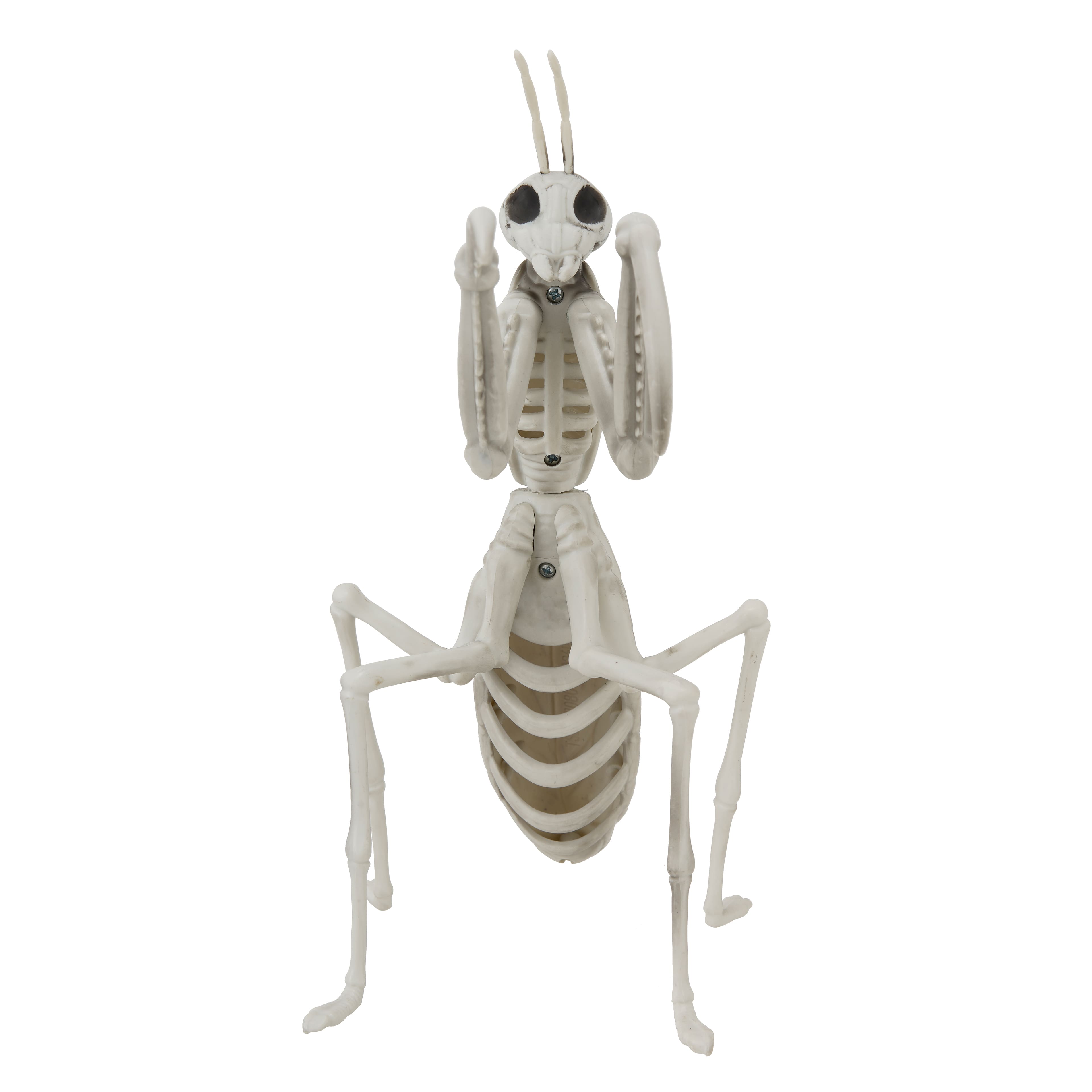 9.4" Mantis Skeleton by Ashland®