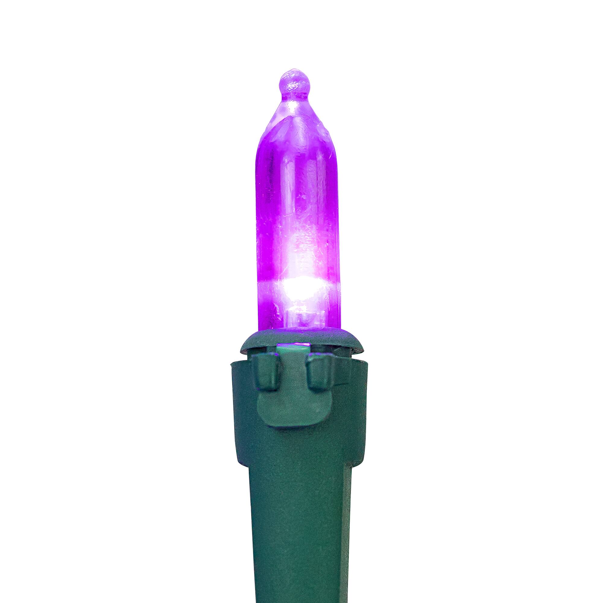 100ct. LED Mini Christmas Lights With Green Wire