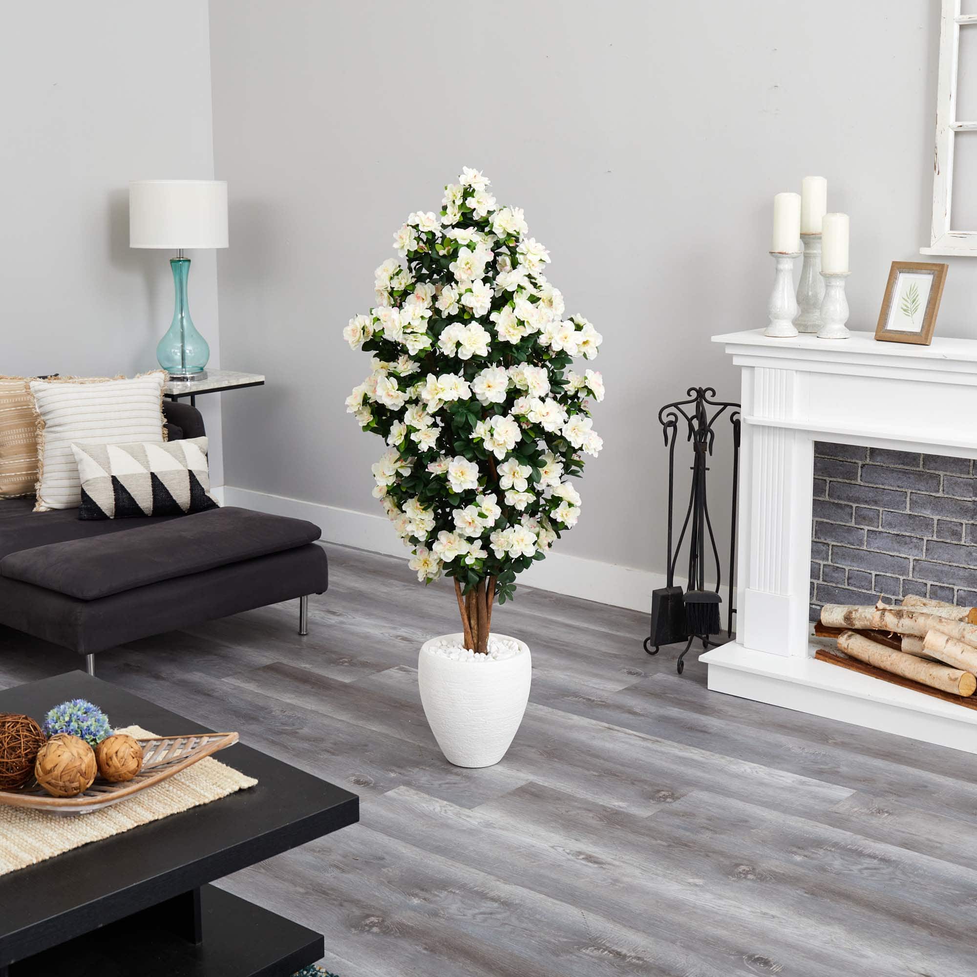 5ft. Azalea Tree in White Planter