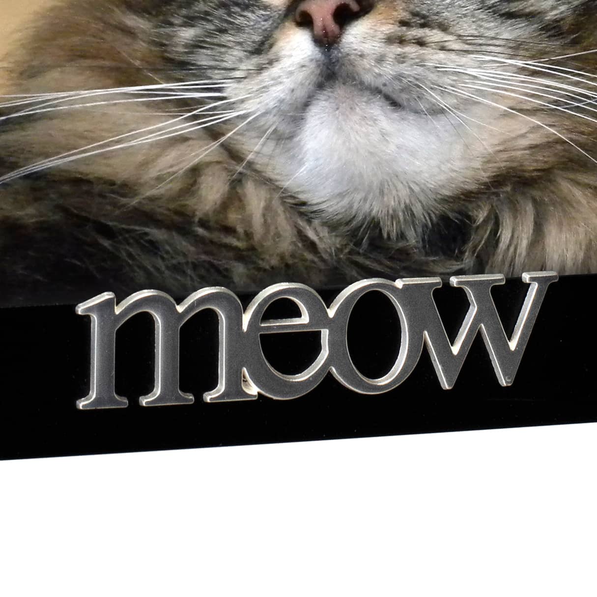 Malden International Designs You Had Me at Meow Expressions 4" x 6" Black Cat Frame