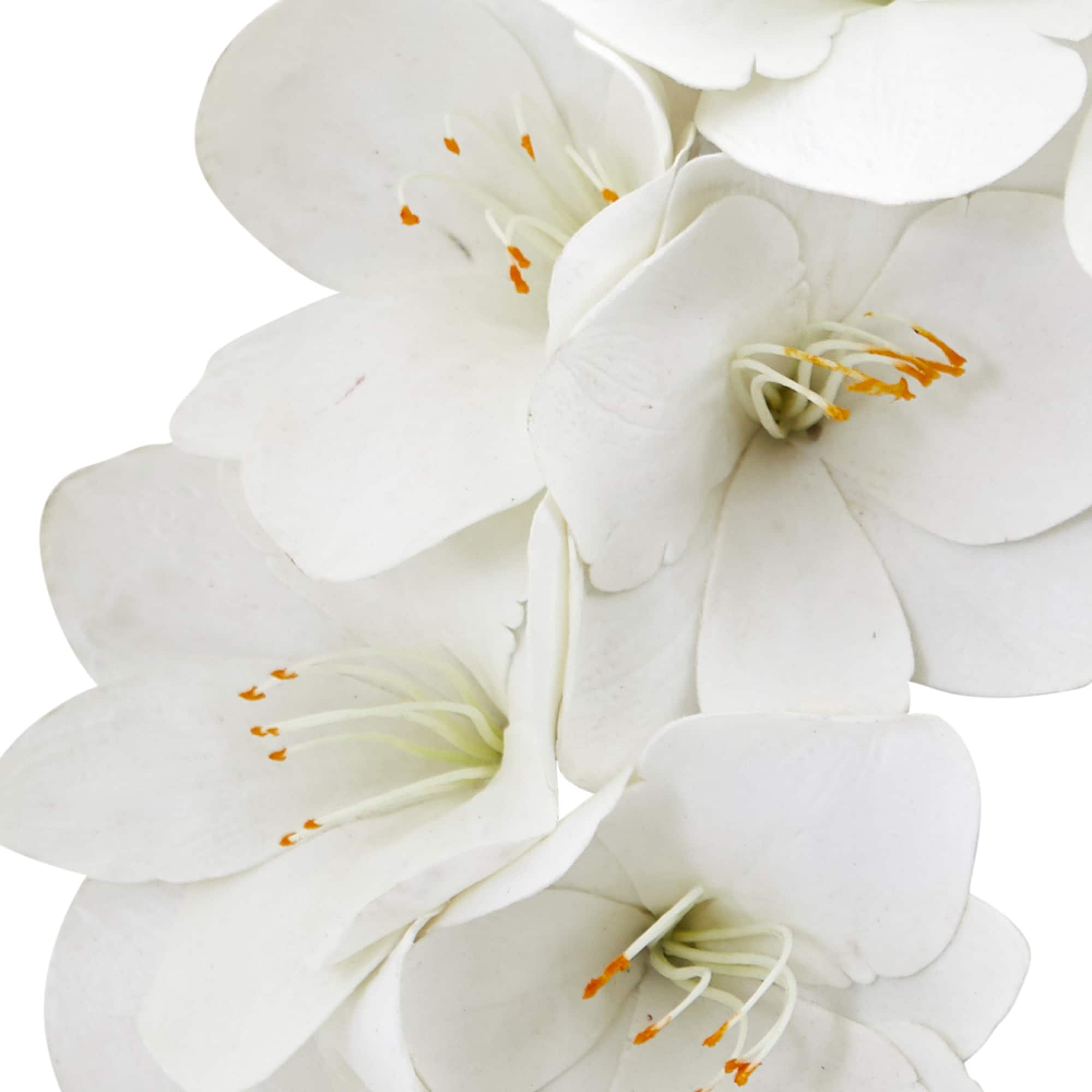 24'' White Amaryllis Wreath