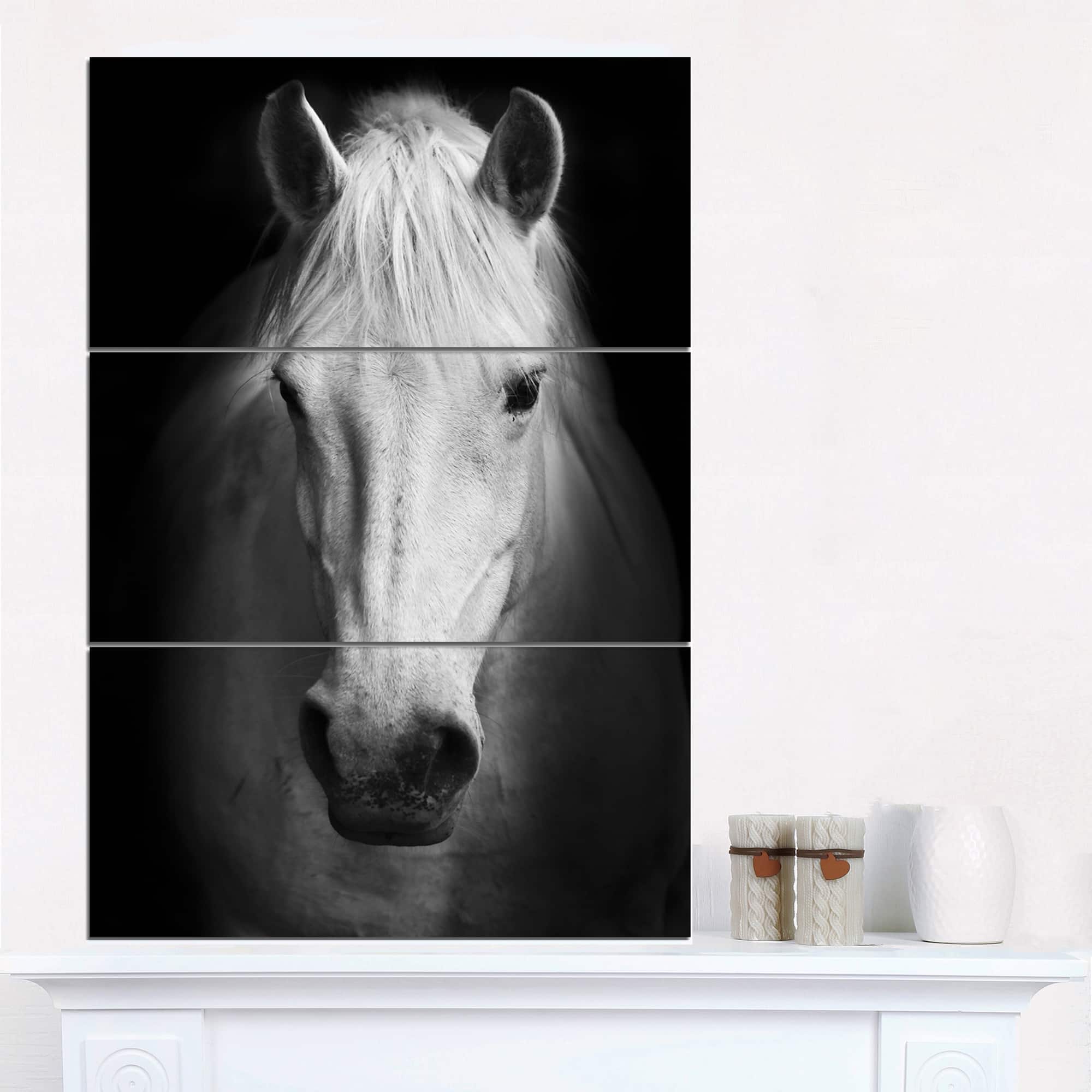 Designart - White Horse Black and White - Animal Canvas Art Print