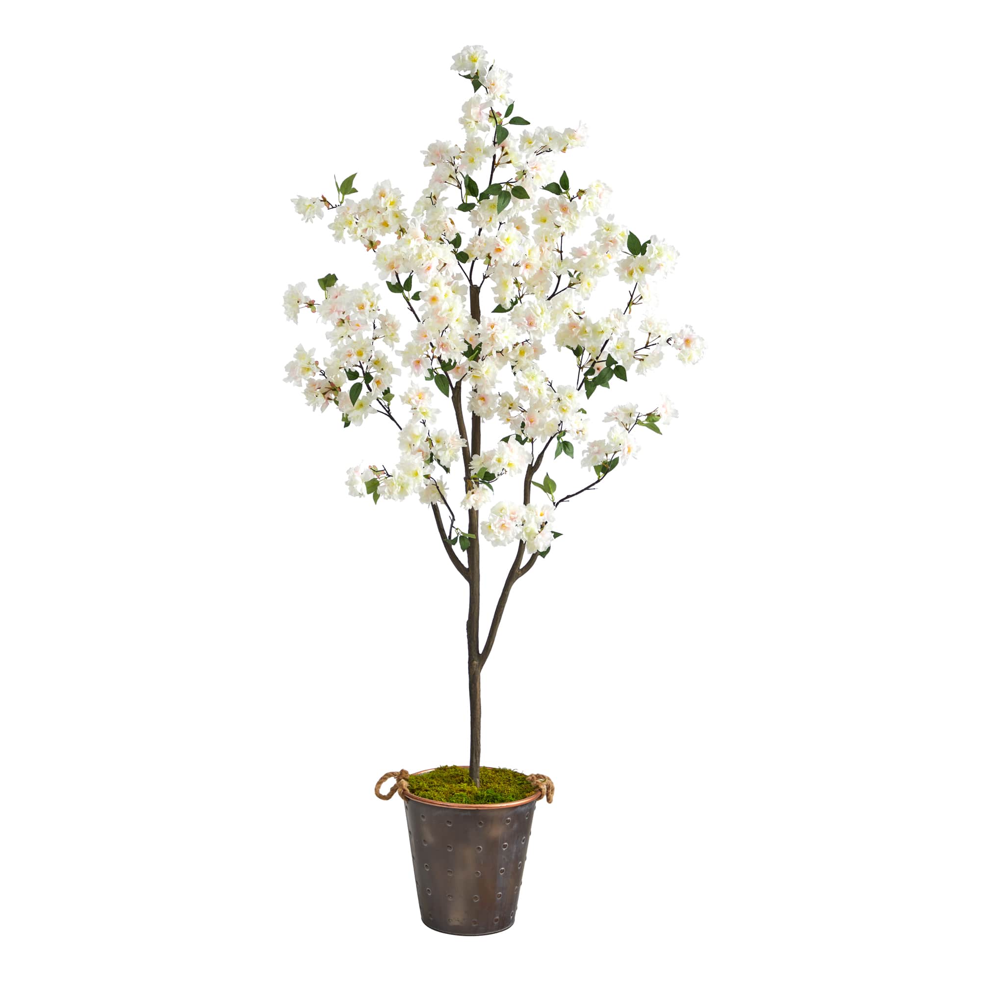 6ft. Cherry Blossom Tree in Decorative Metal Pail with Rope