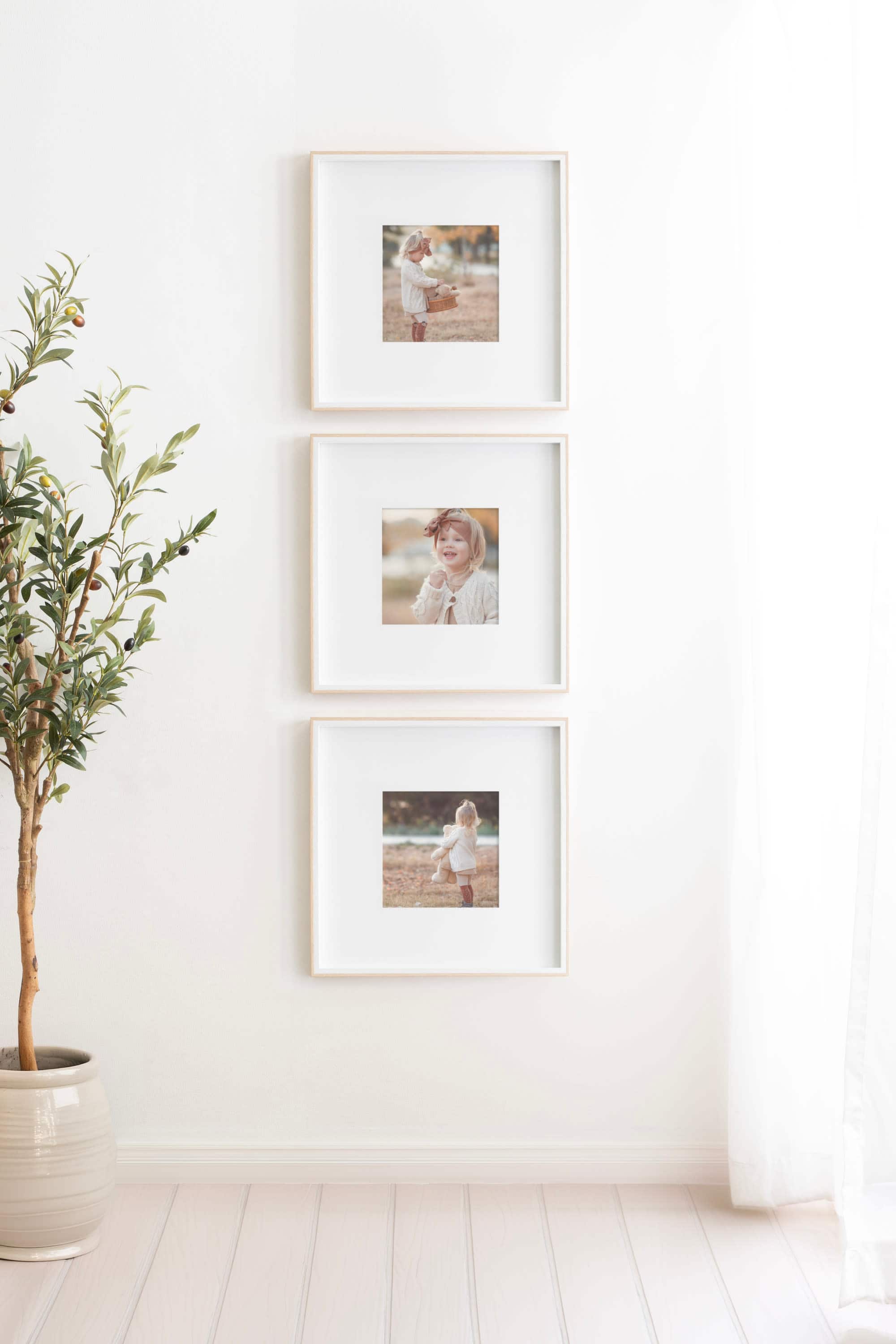 Kate and Laurel Gibson 16" x 16" Photo Frames 8" x 8" with Mat