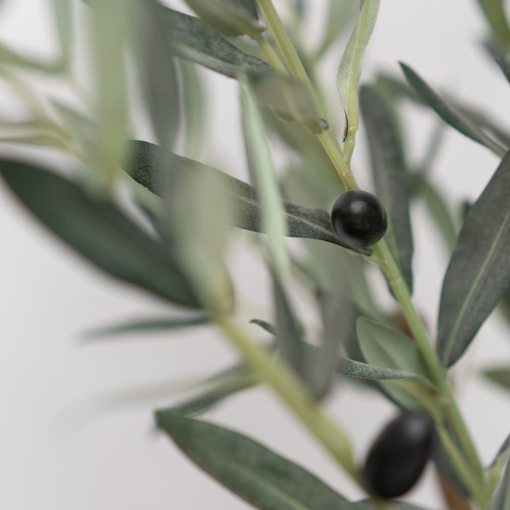 House of Silk Flowers 6ft. Faux Olive Tree in Boiled Cream Tapered Ceramic Pot