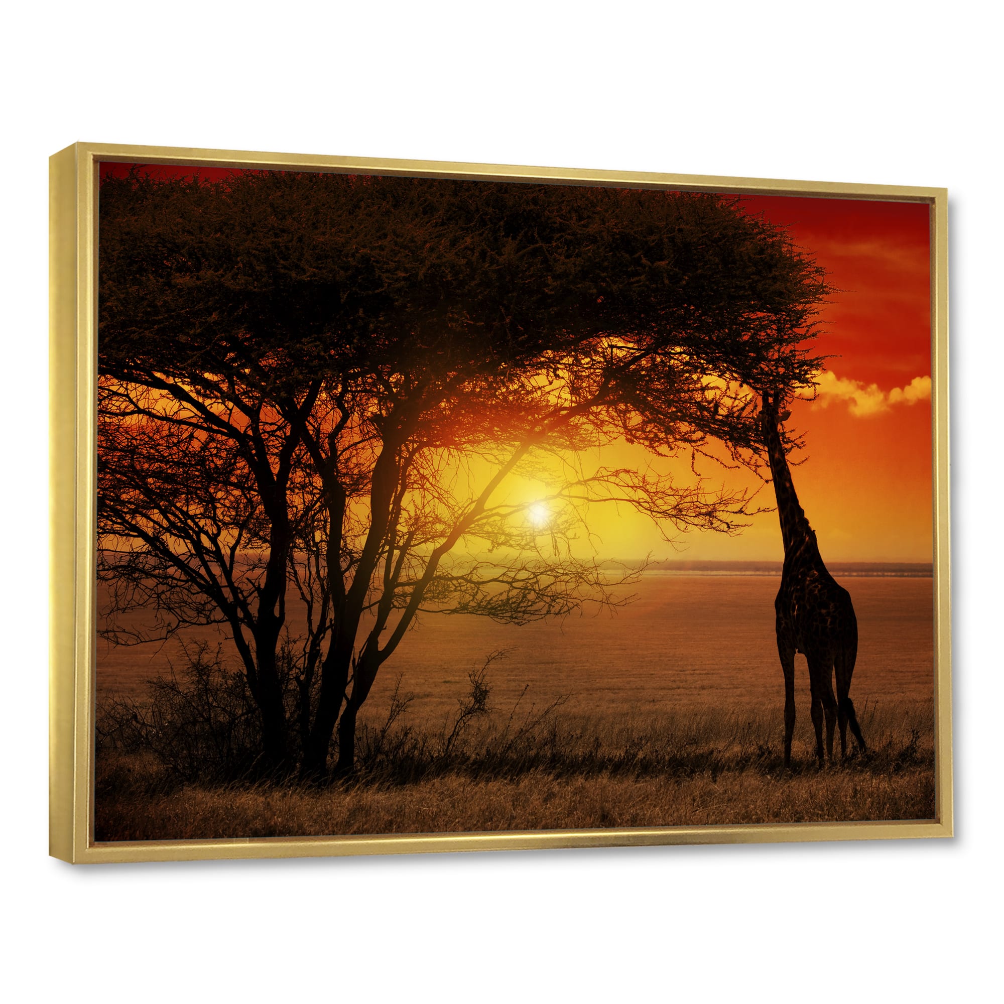 Designart - Typical African Sunset with Giraffe - Oversized African Landscape Framed Canvas Art