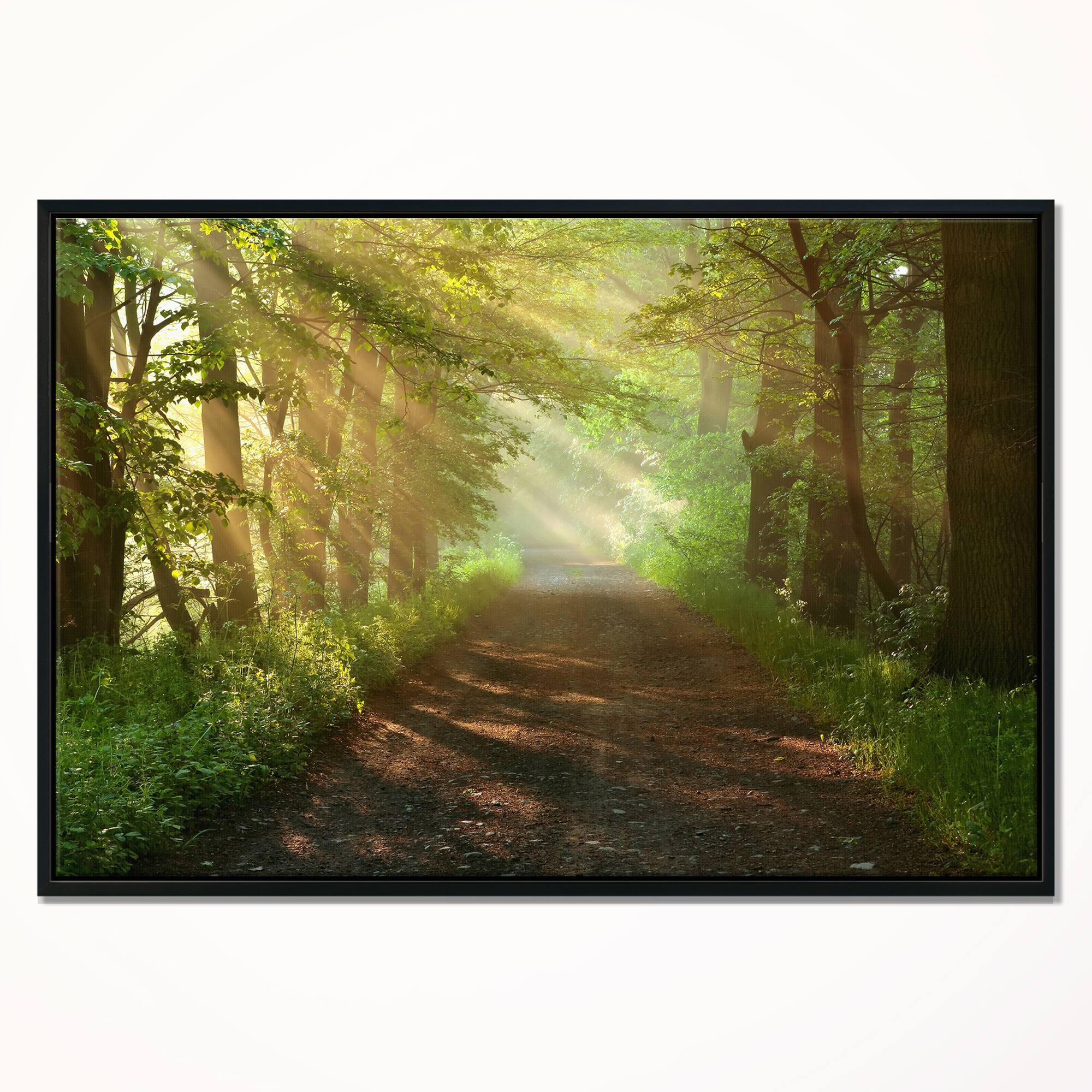Designart - Suns Peeks into Forest - Landscape Photography Canvas Print in Black Frame