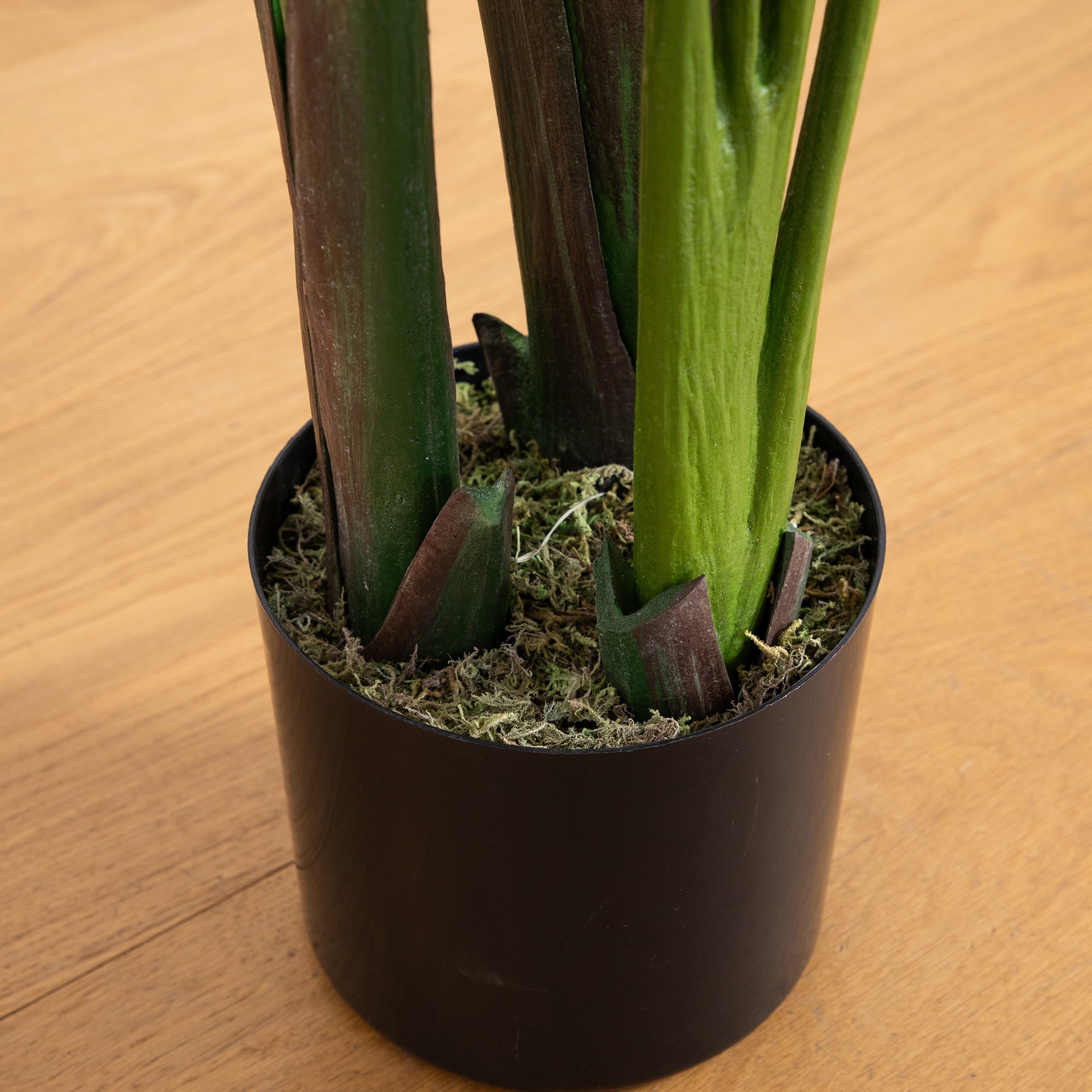 6ft. UV-Resistant Artificial Traveler's Palm Tree