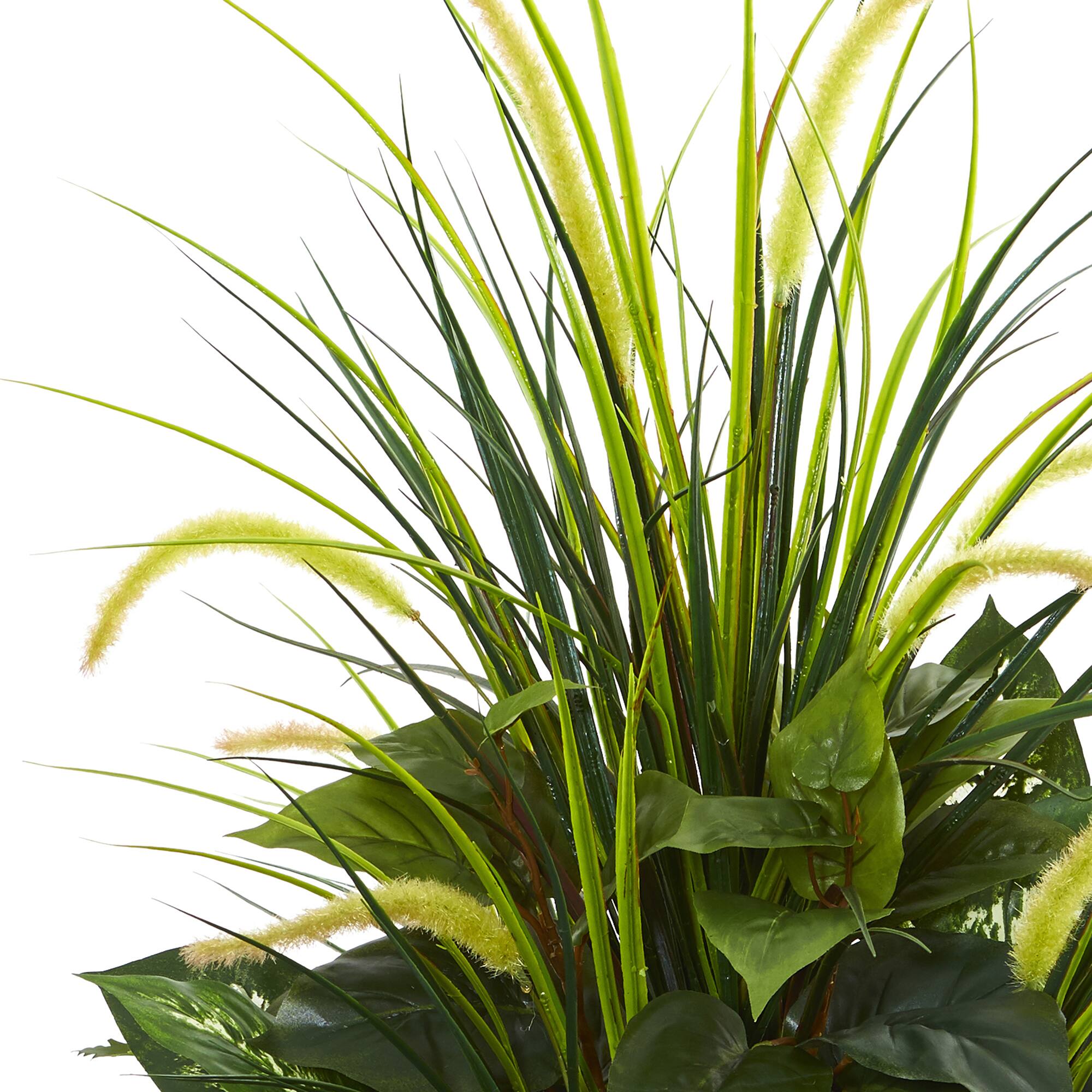 4ft. Mixed River Fern & Dogtail In White Tower Planter
