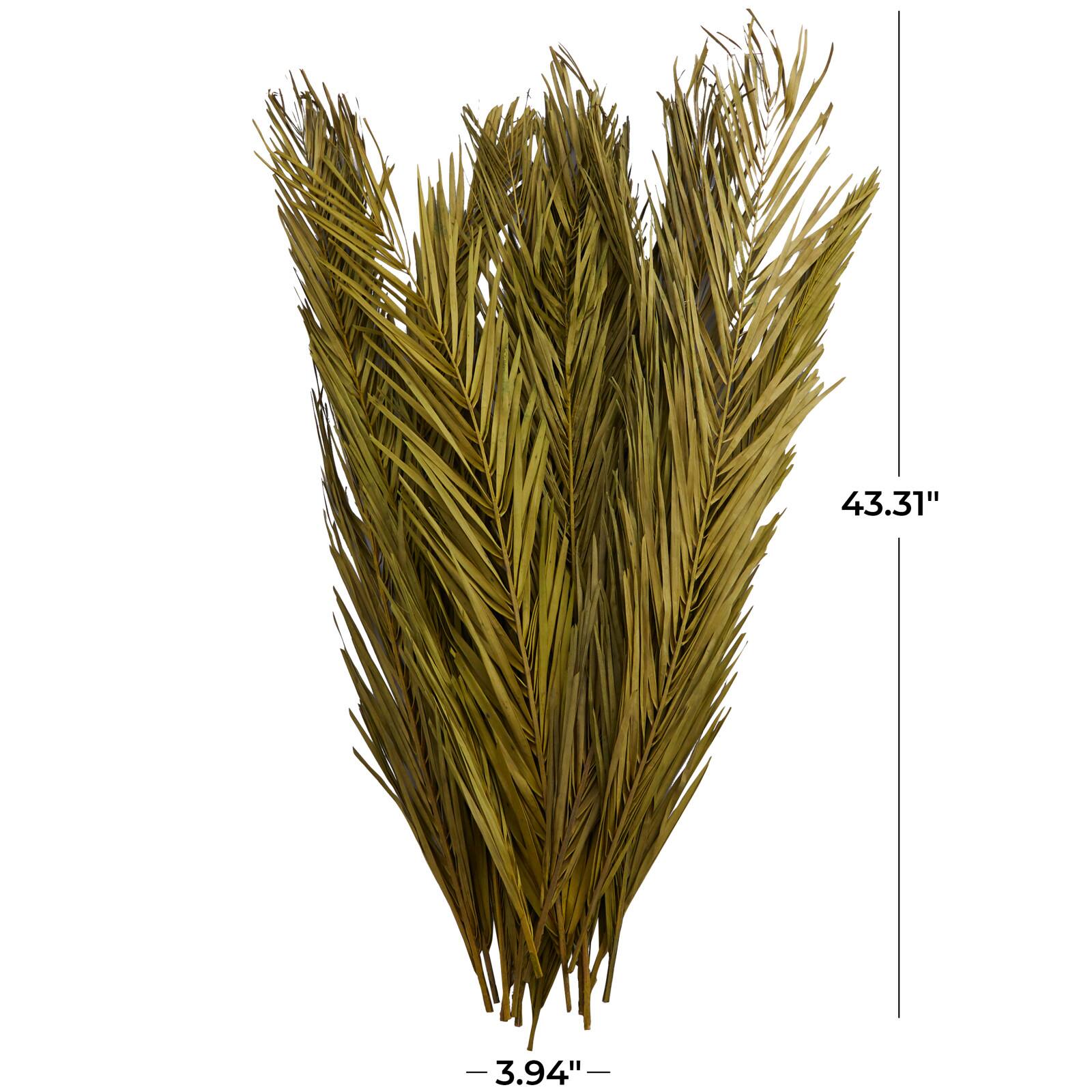 43" Natural Dried Plant Palm Leaf Bunch with Feather-Inspired Stems
