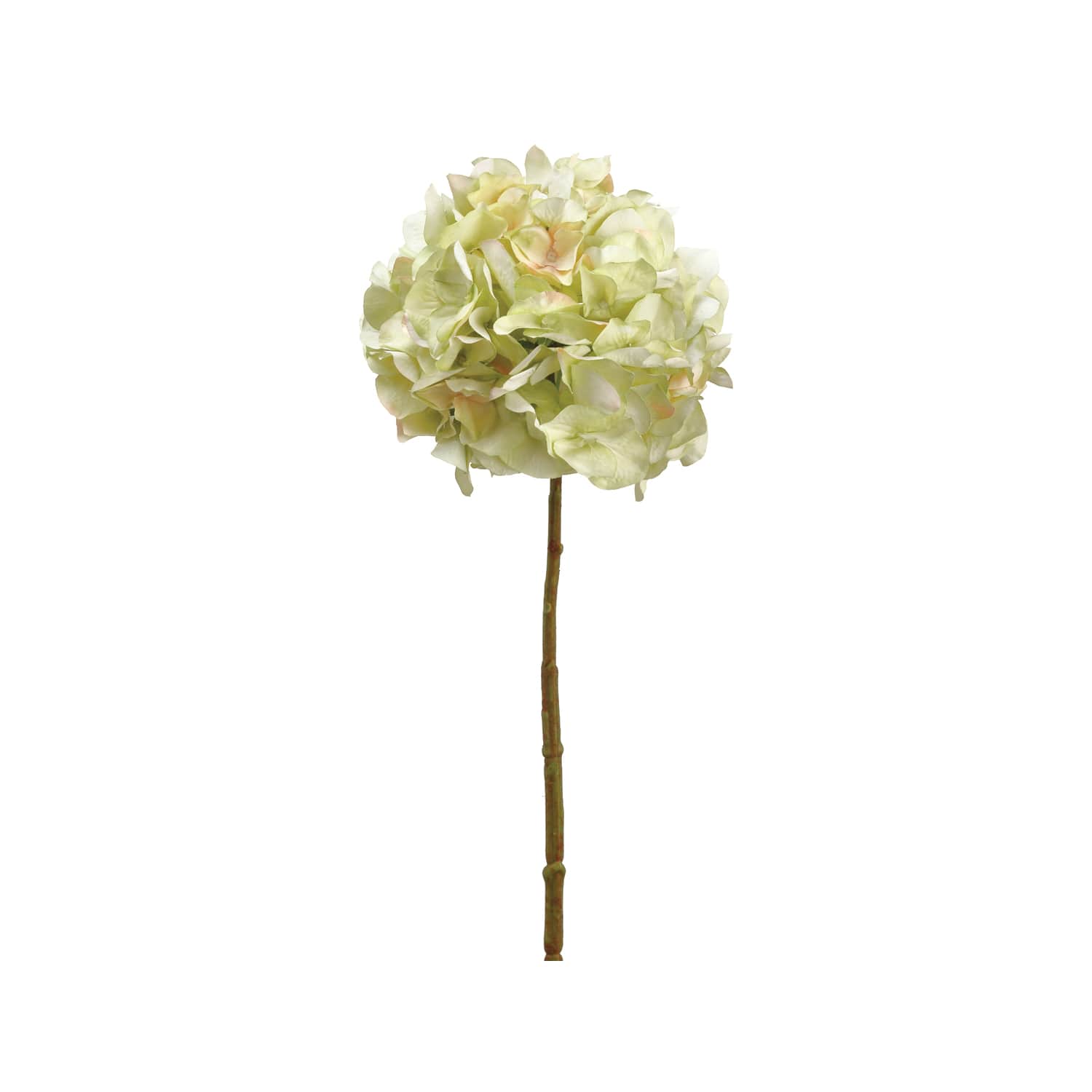 Light Green Hydrangea Spray