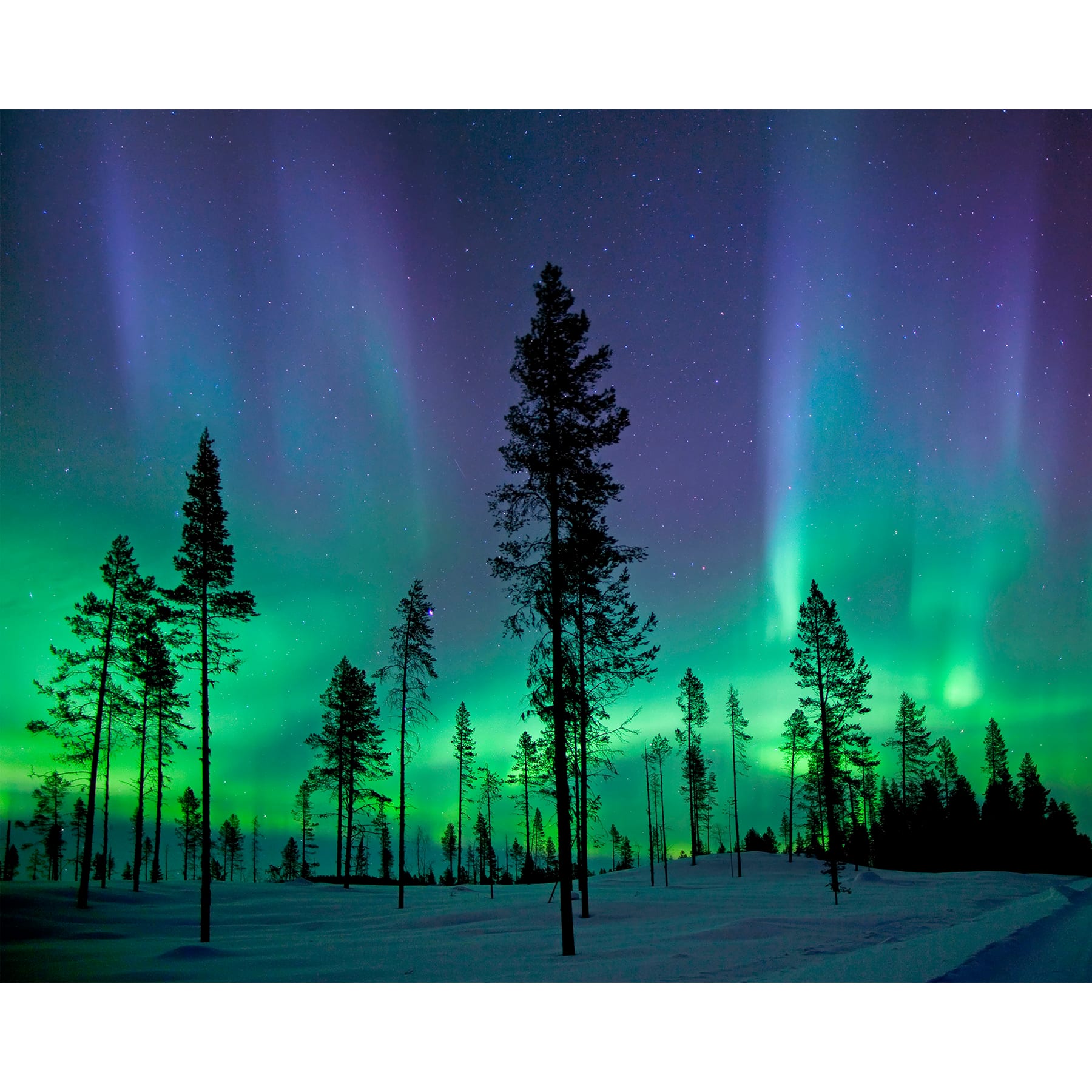 Wall Rogues Aurora Borealis Northern Lights Wall Mural
