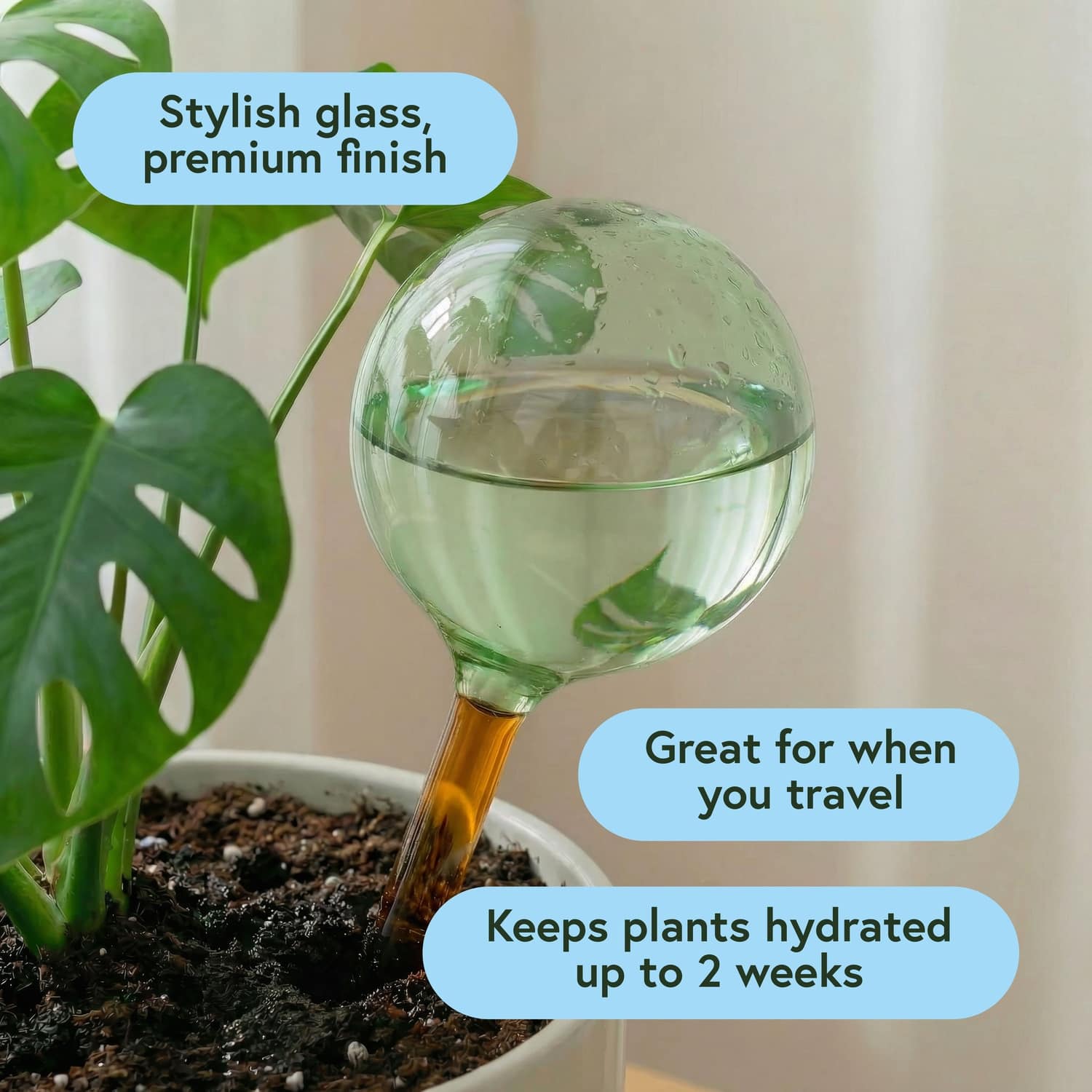 We The Wild™ Self-Watering Plant Globes