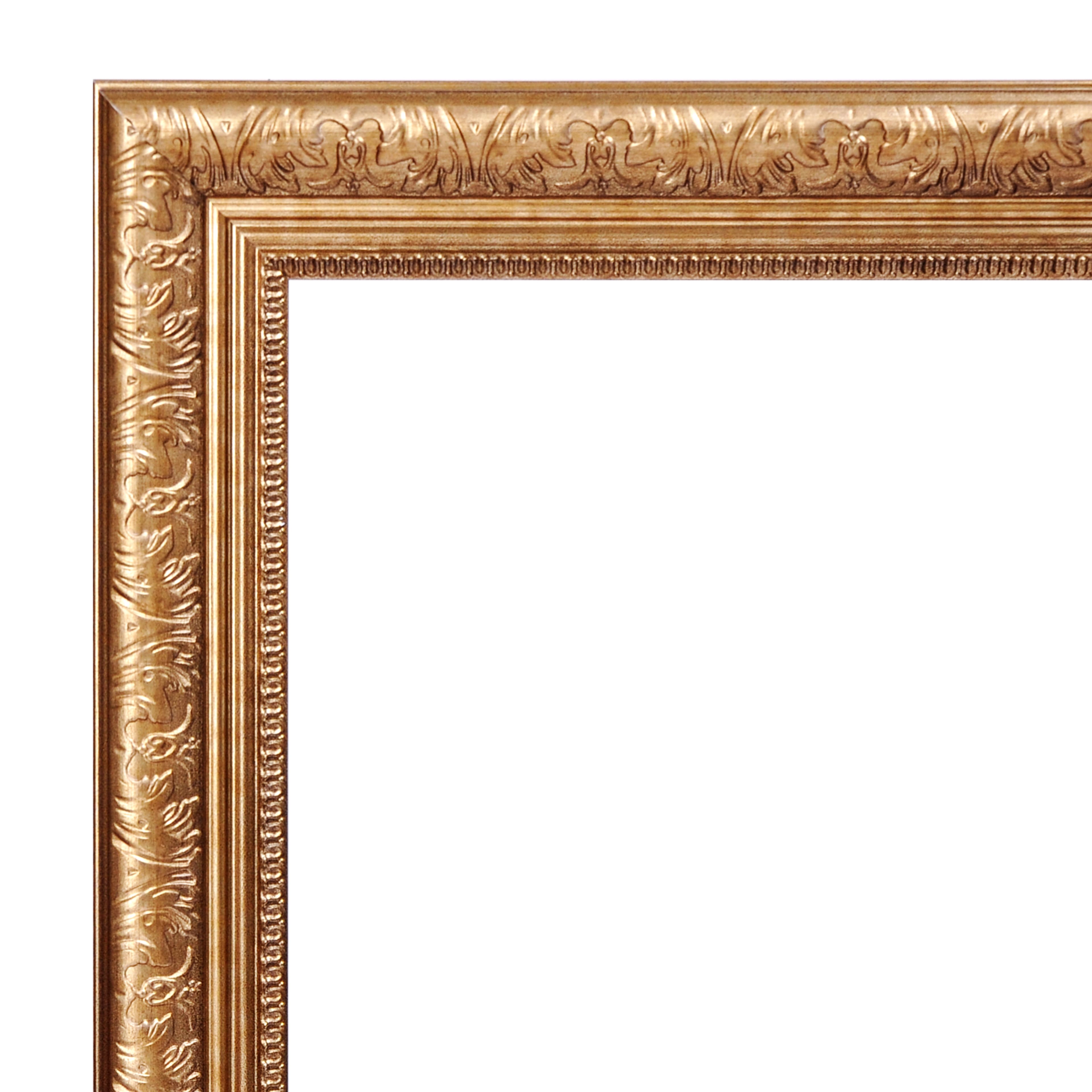 Home Gold Ornate Botanical Frame with Mat by Ashland