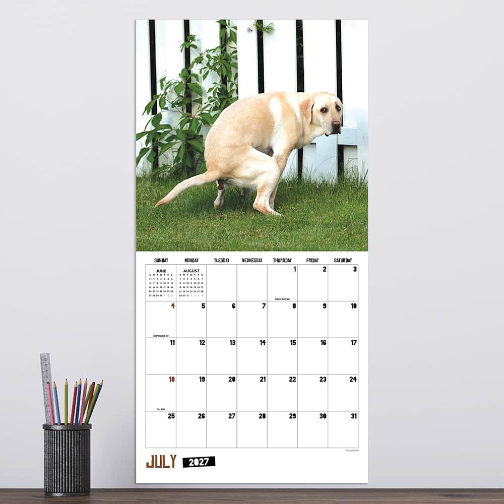 2027 Pooping Dogs Wall Calendar