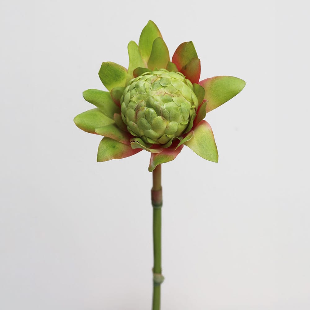 Prestige Botanicals 16.5" Waratah Protea Faux Floral Stem