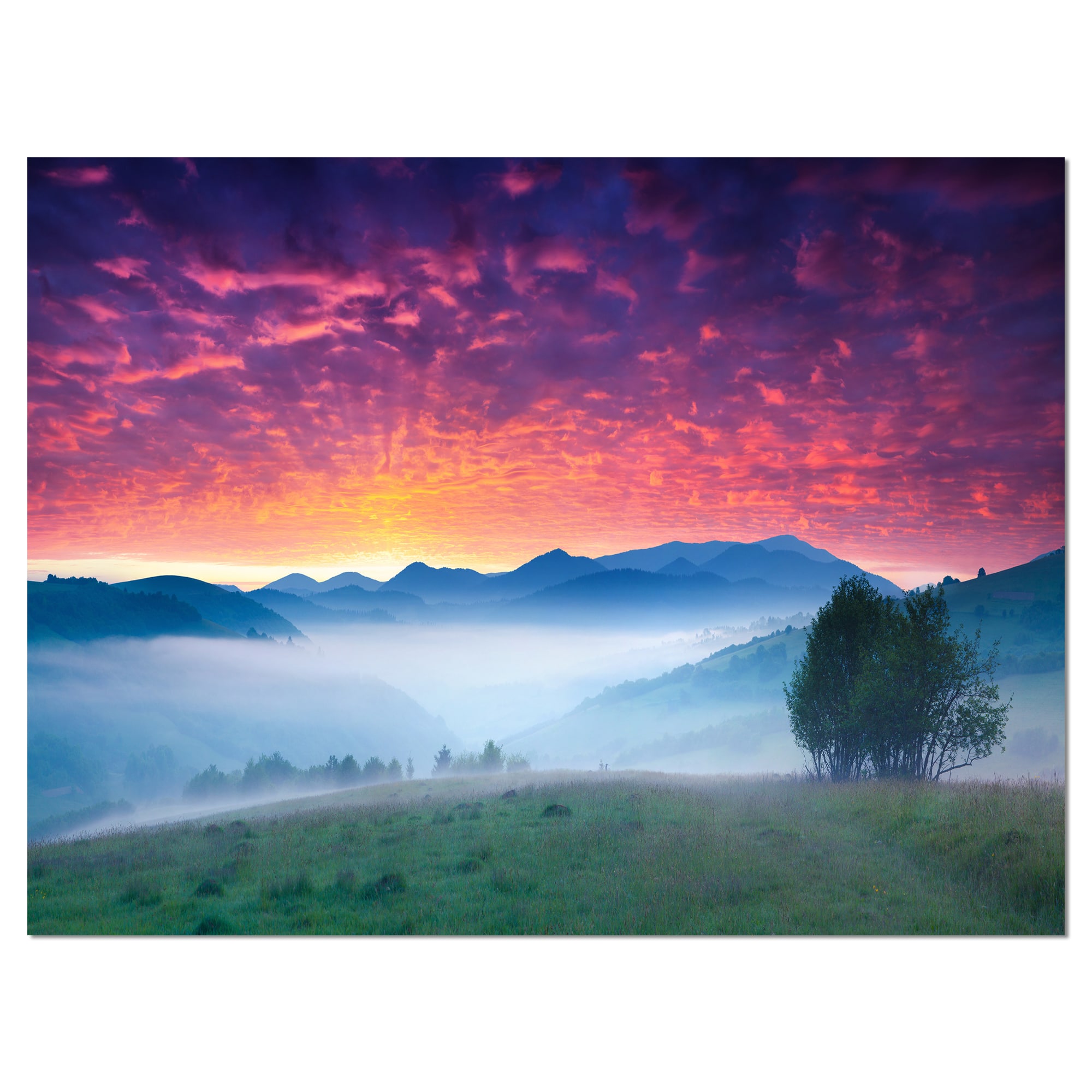 Designart - Blood Red Sky and Green Grass