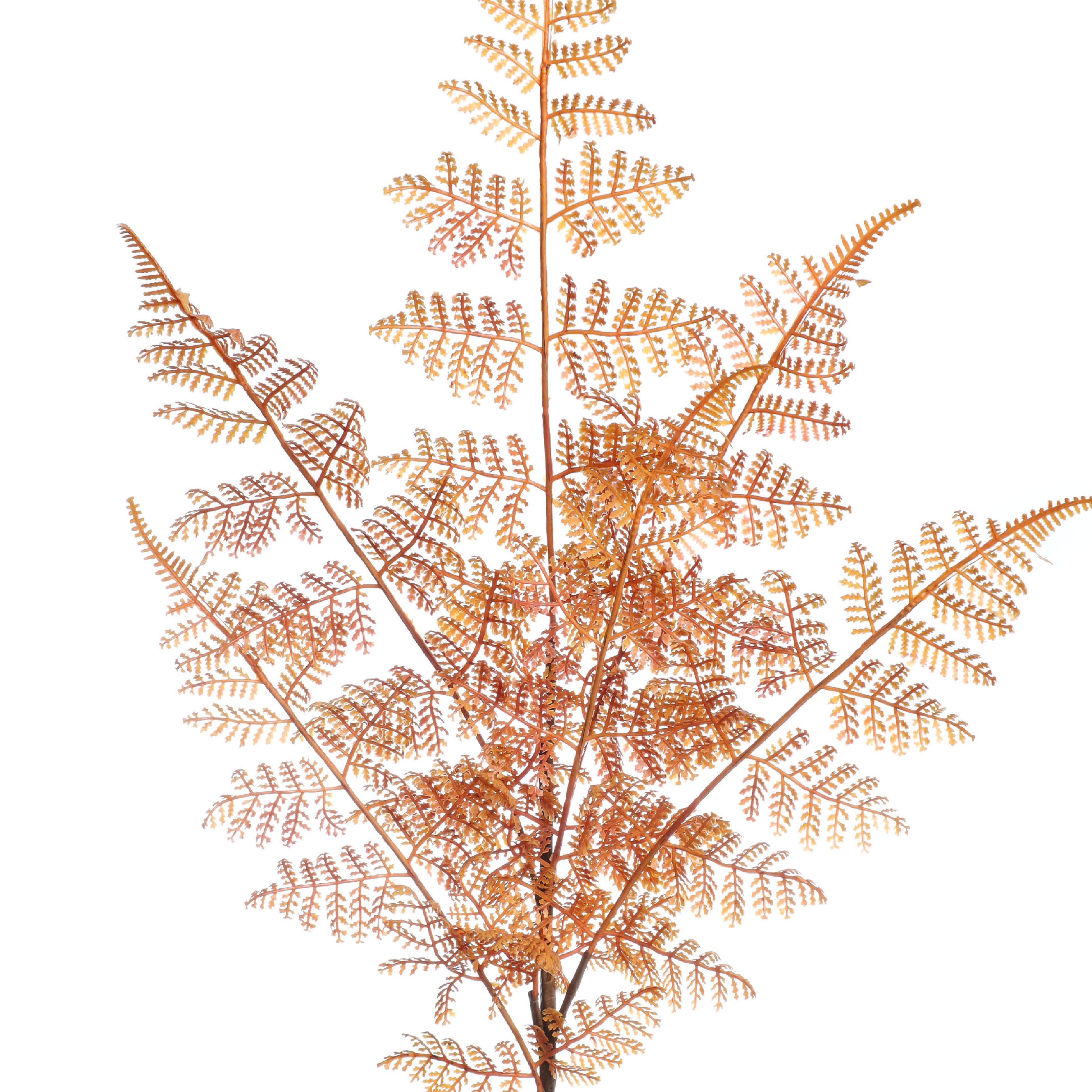 34" Orange Fern Leaf Stem by Ashland®