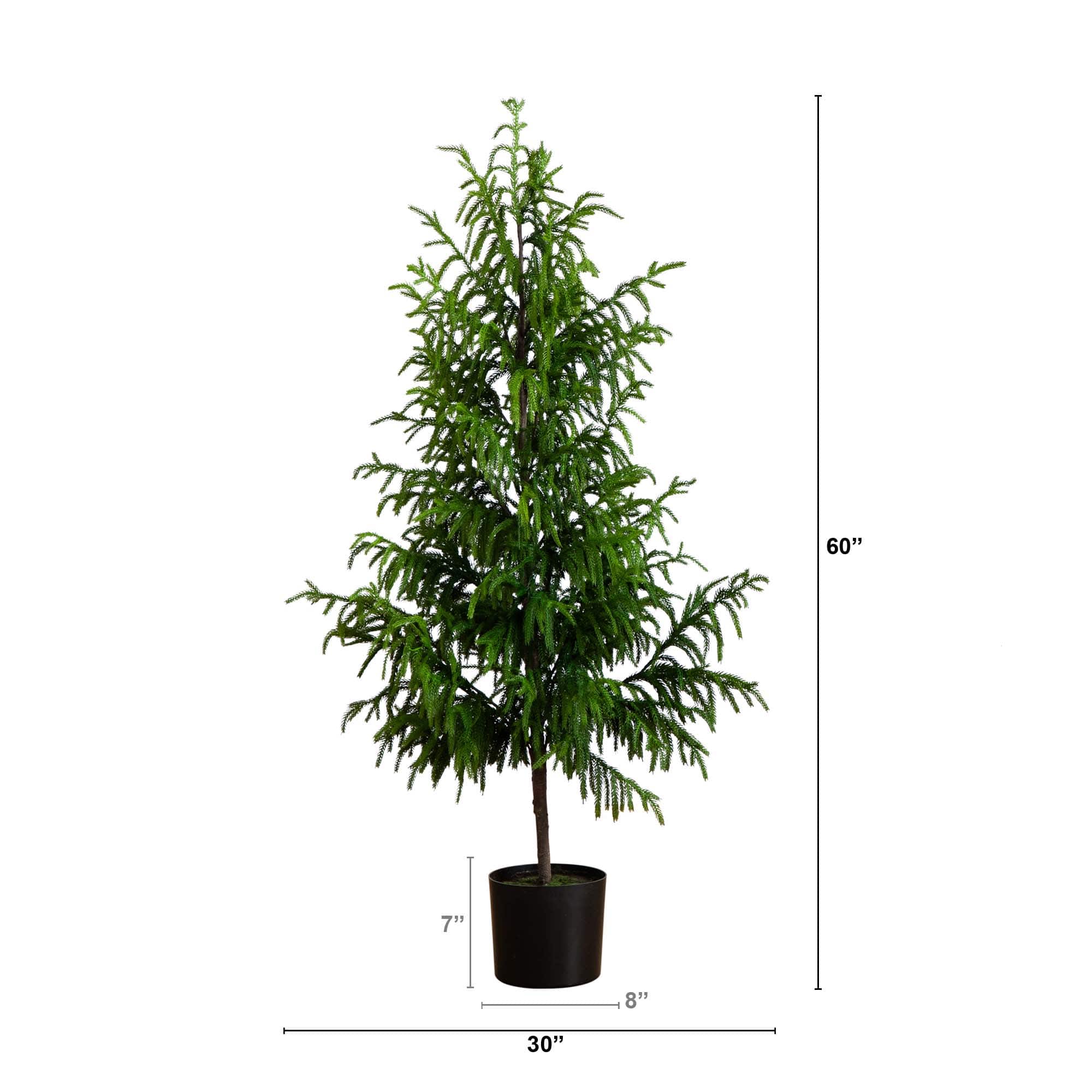 5ft. Unlit Norfolk Pine Artificial Potted Christmas Tree