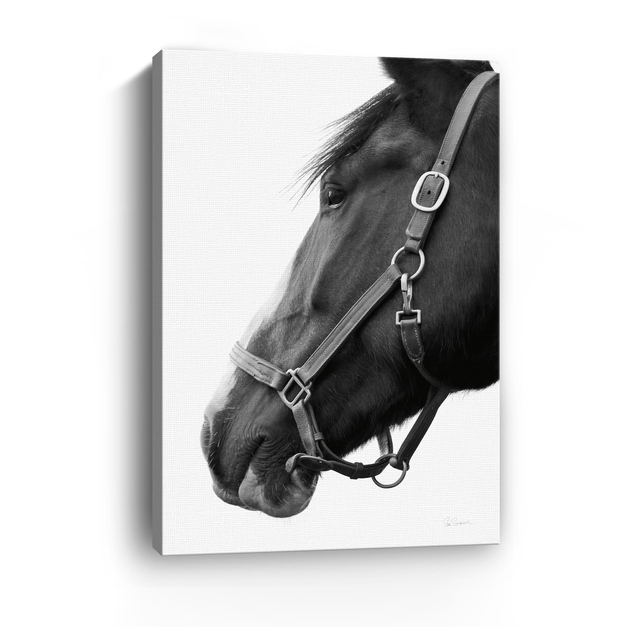 Lumaprints In Halter Canvas Giclée Art