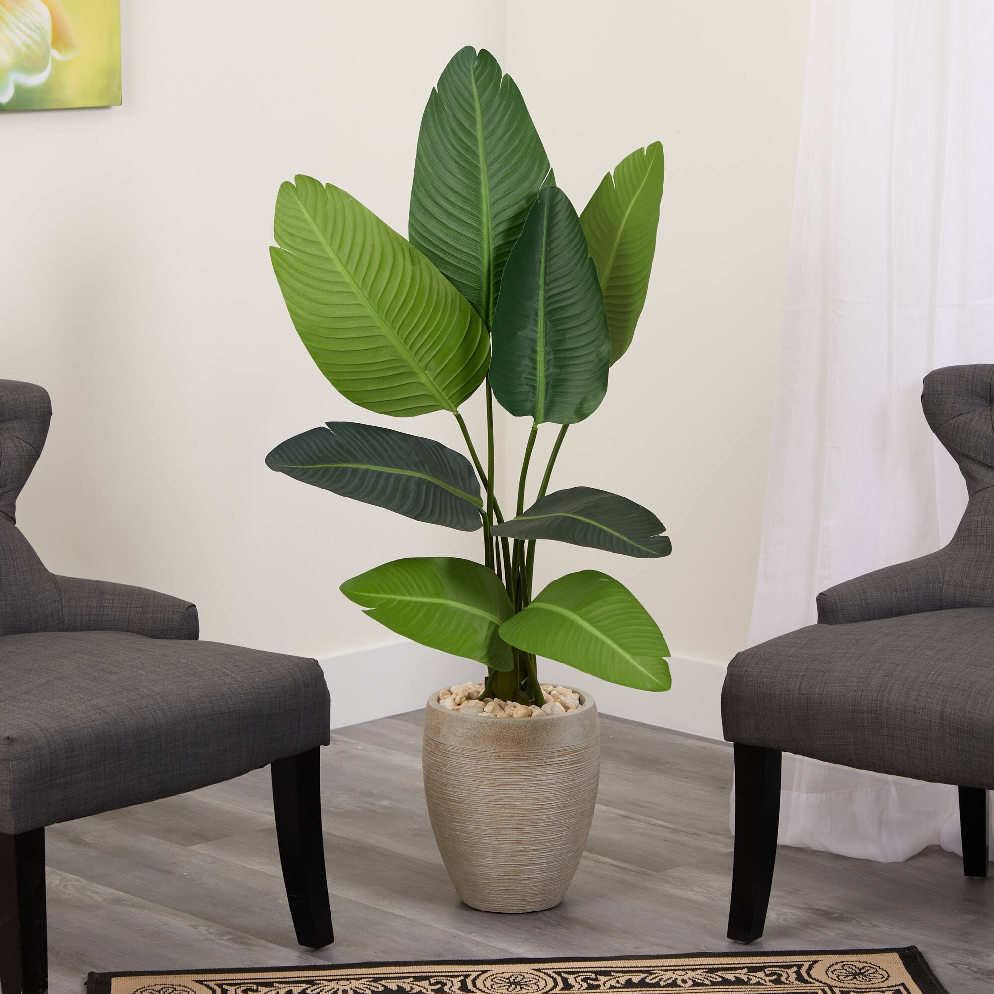 4ft. Travelers Palm Tree in Sand Colored Planter