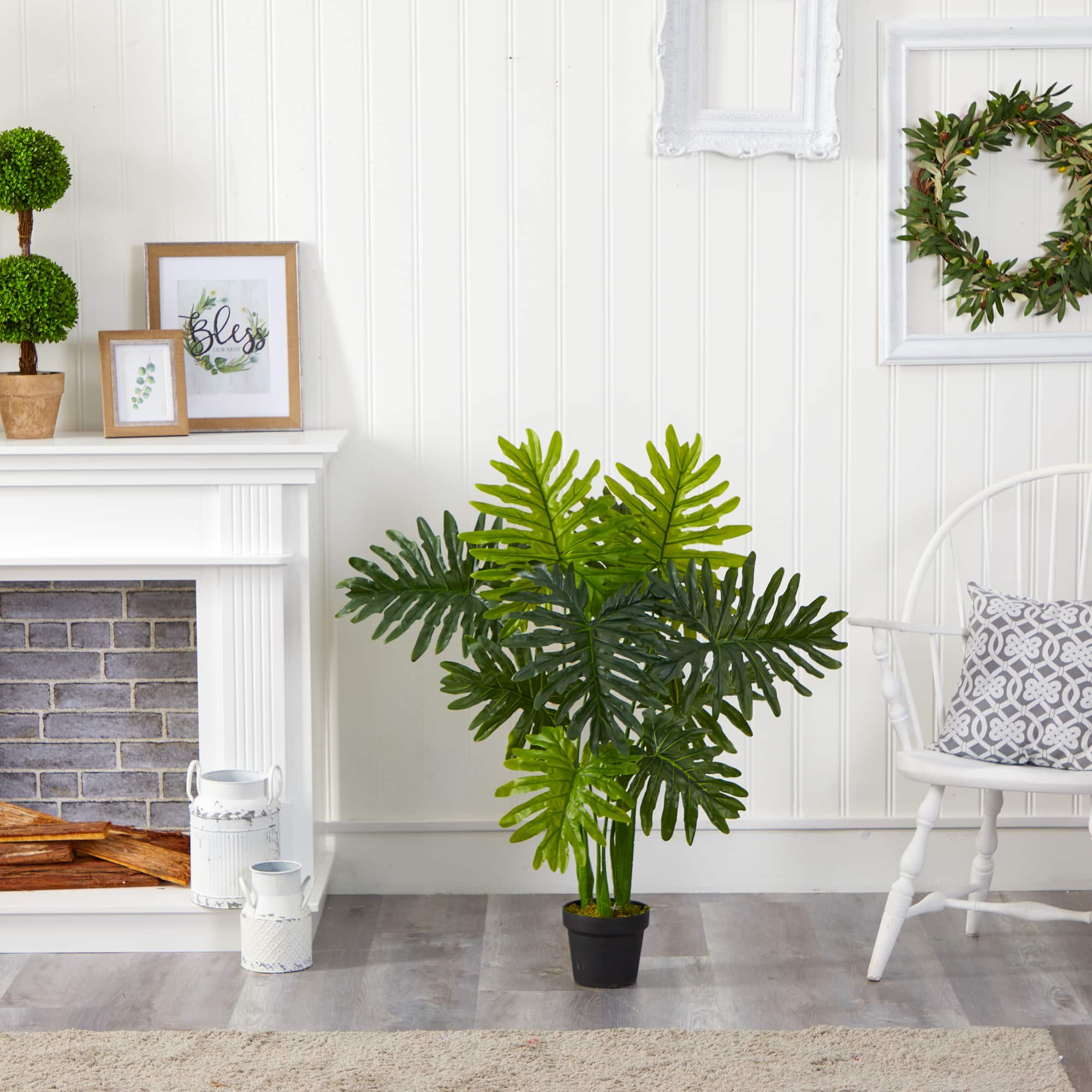3.5ft. Potted Philodendron Plant