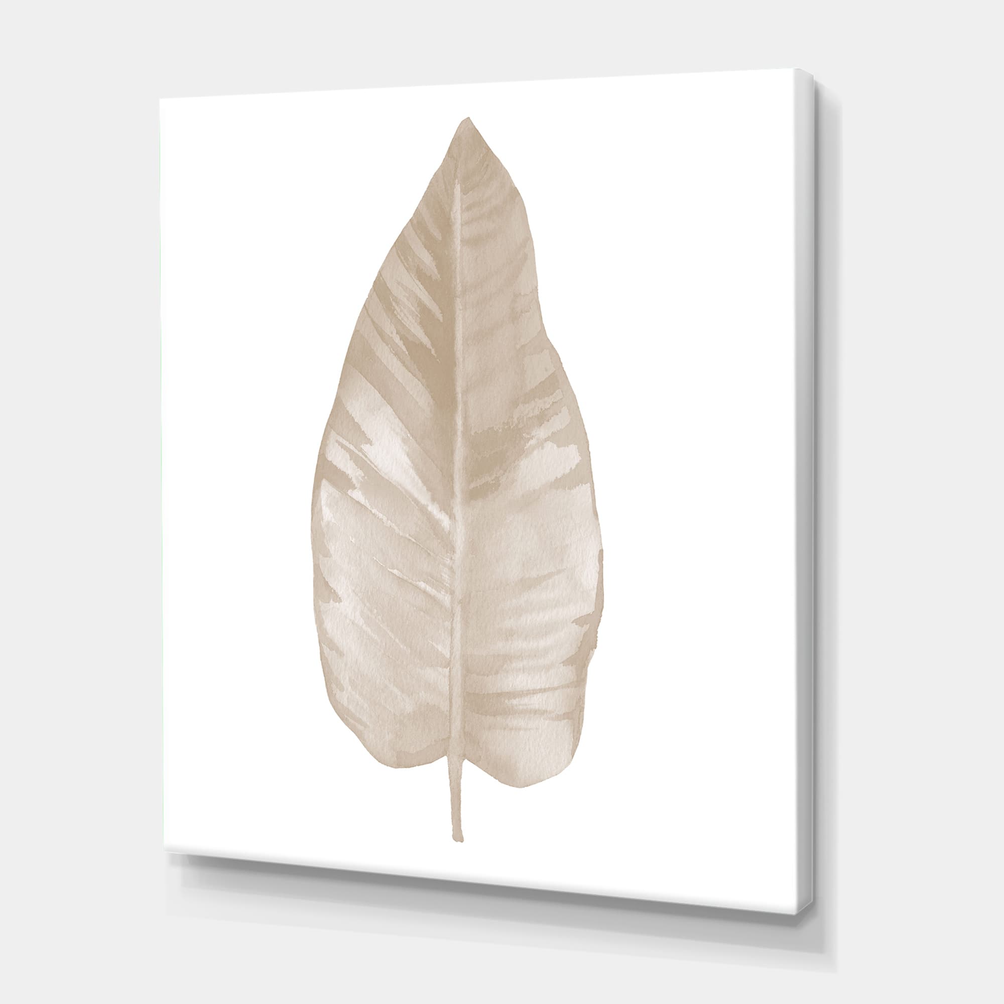 Designart - Dried Leaf Plant Beige On White - Traditional Canvas Wall Art Print