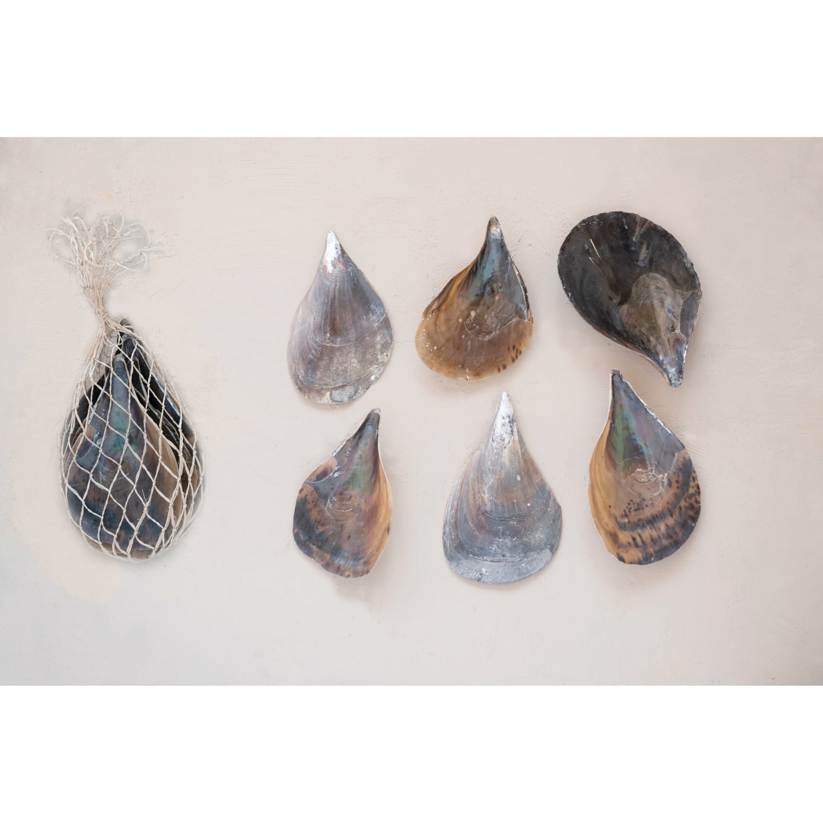 Hello Honey® Pen Clam Shells in Bag