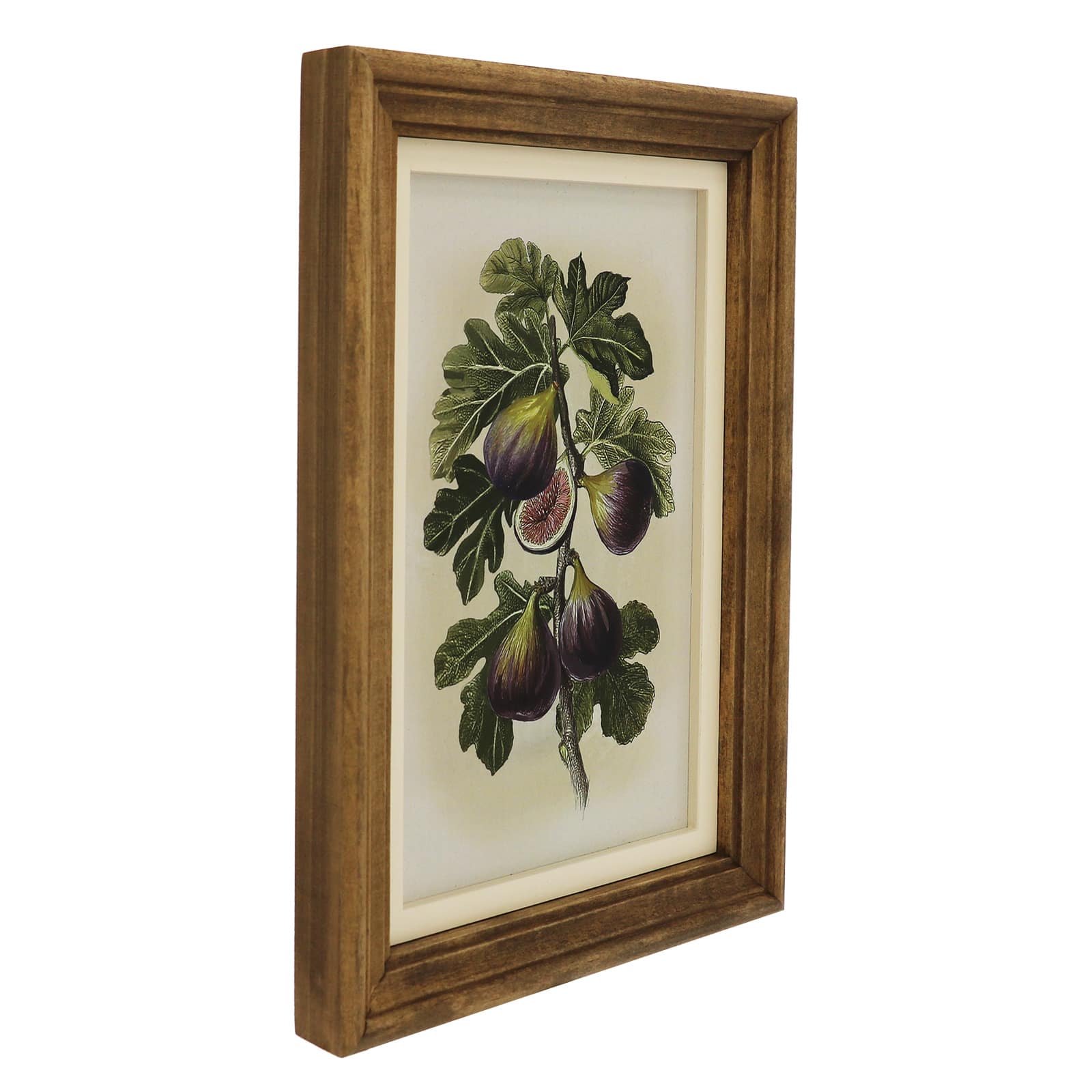 7" x 11.5" Fig Wall Art Décor by Ashland®