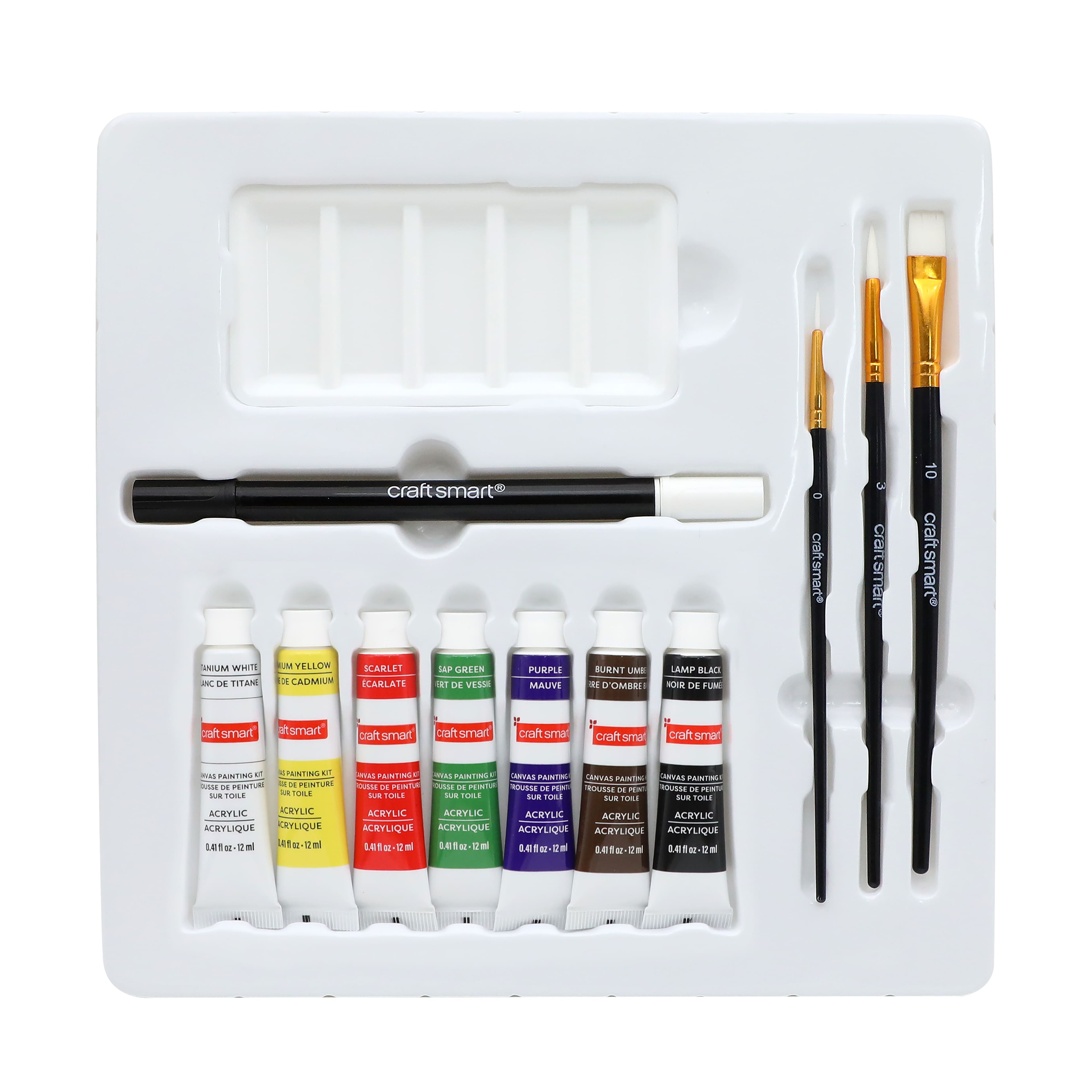 11" x 11" Cat Library Canvas Painting Kit by Craft Smart®